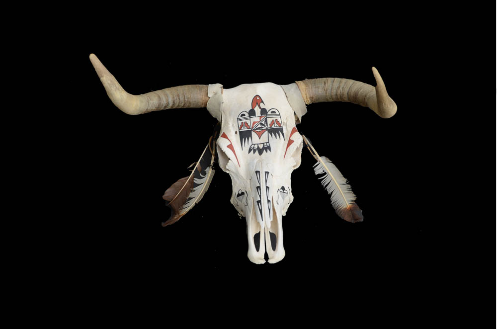 Northern Plains Native American Bull Skull