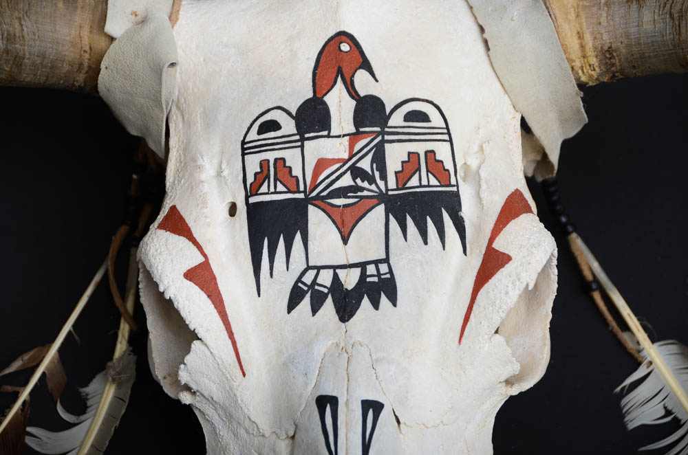Northern Plains Native American Bull Skull