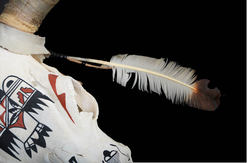 Northern Plains Native American Bull Skull