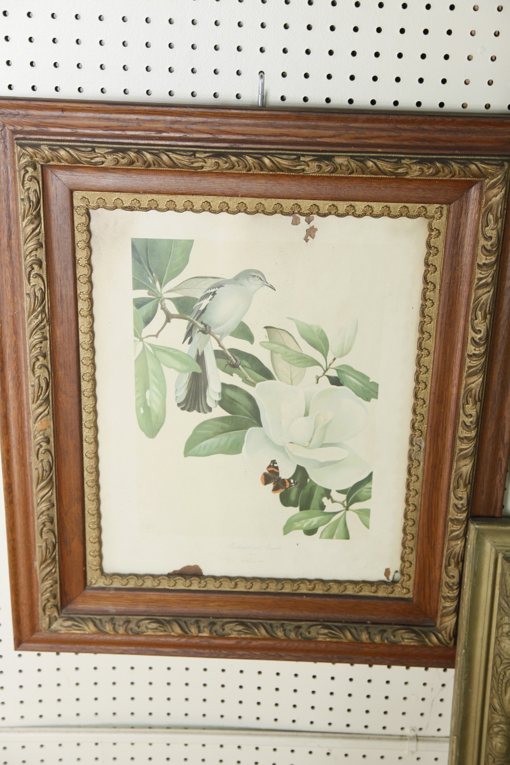 Collection of Antique Frames and Lithographs