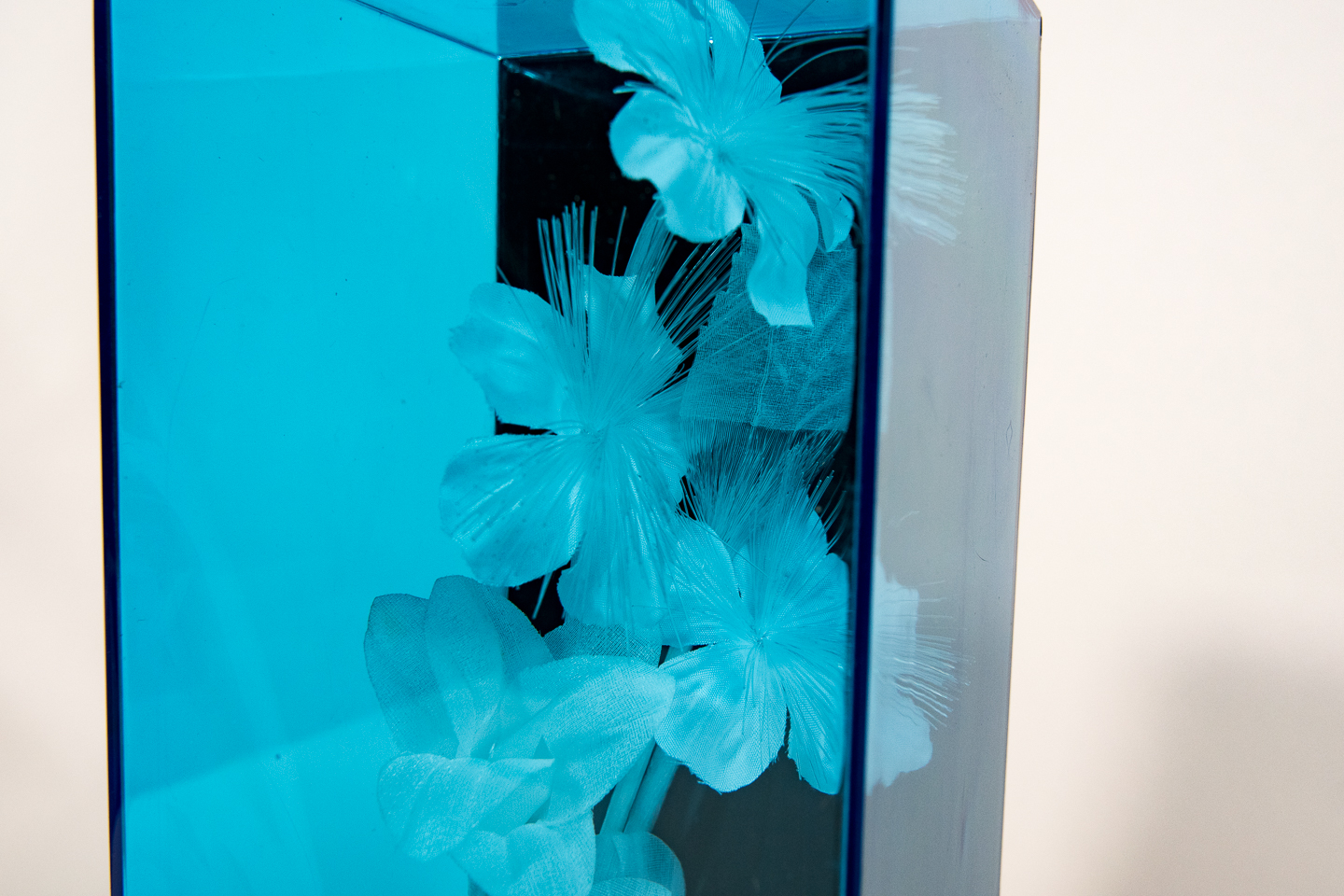 Decorative FIber Optic Lighting