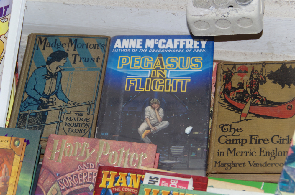 Collection of Great Books for Children