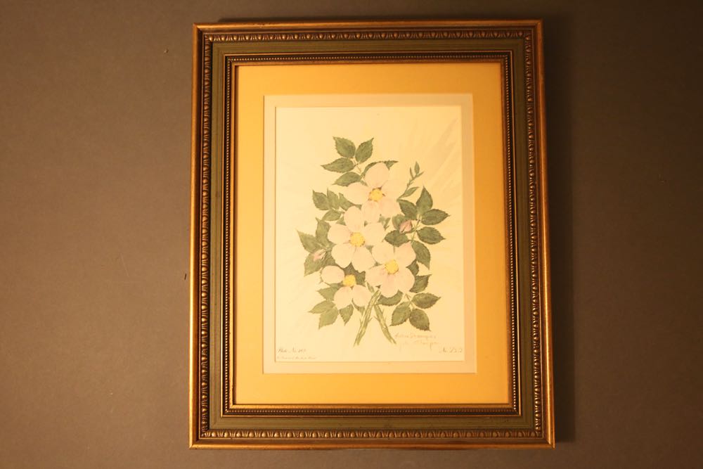 Two John Stamper Prints Framed