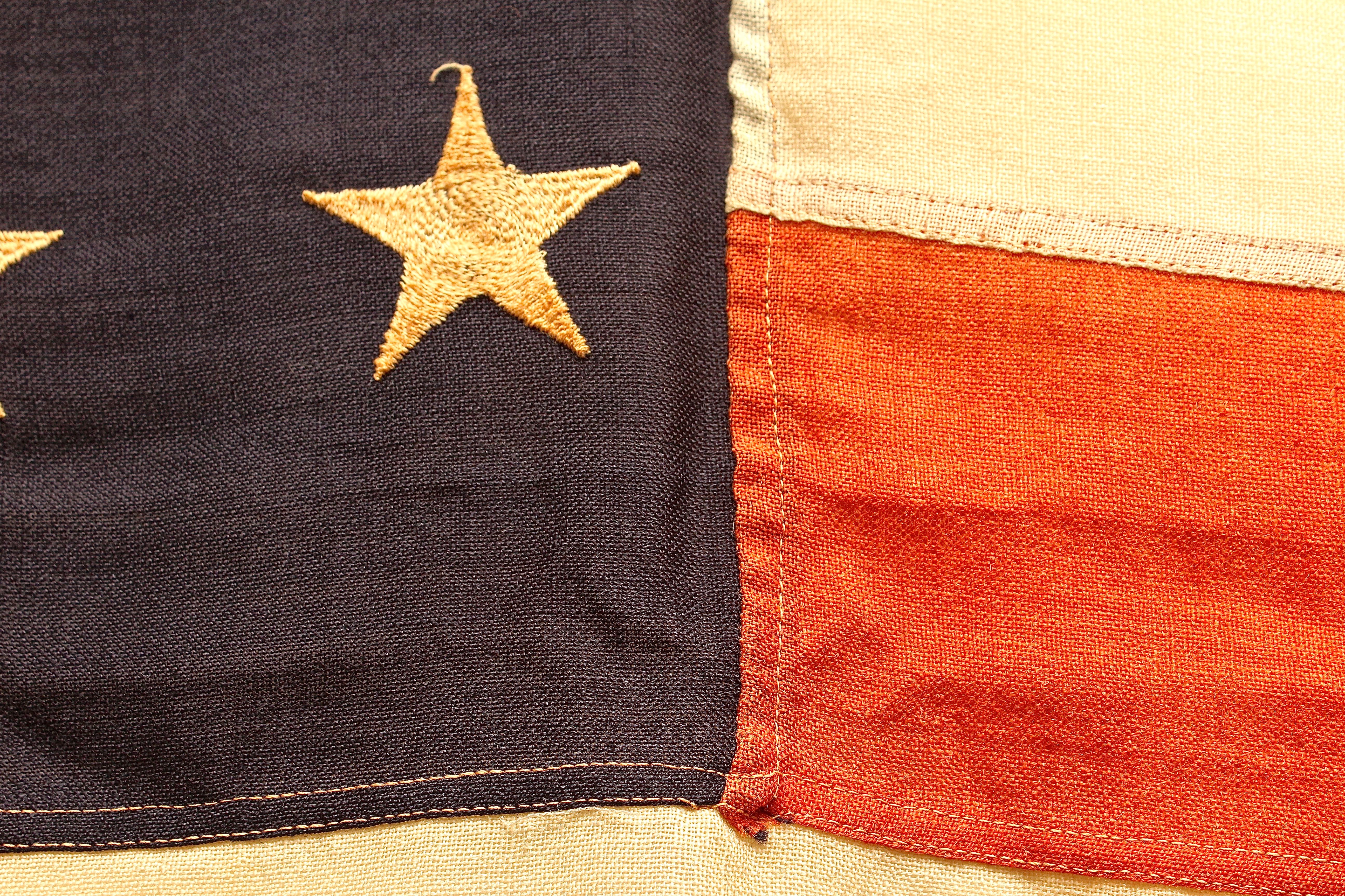 Blue Star Service Flag and Two American Flags