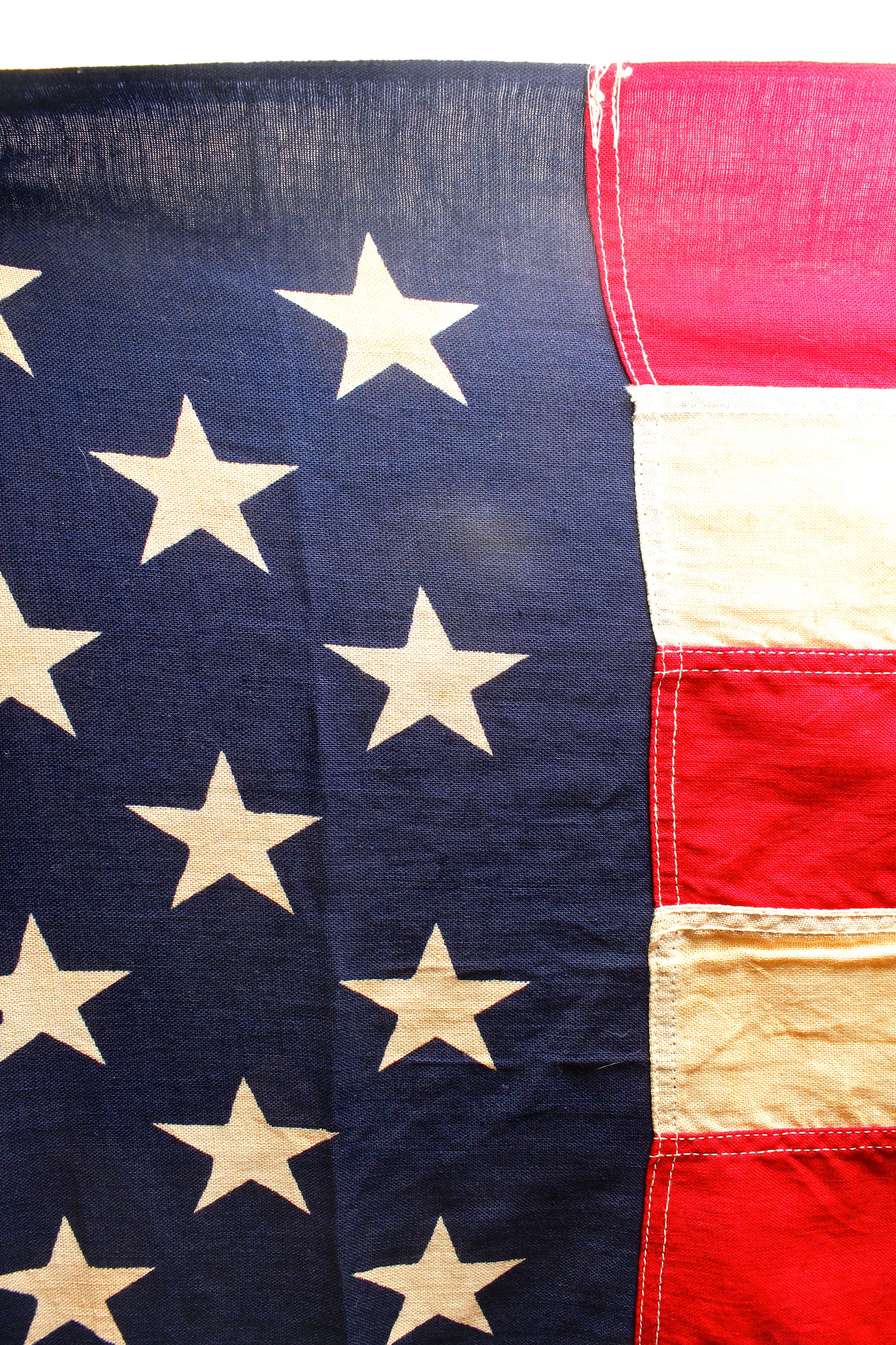 Blue Star Service Flag and Two American Flags
