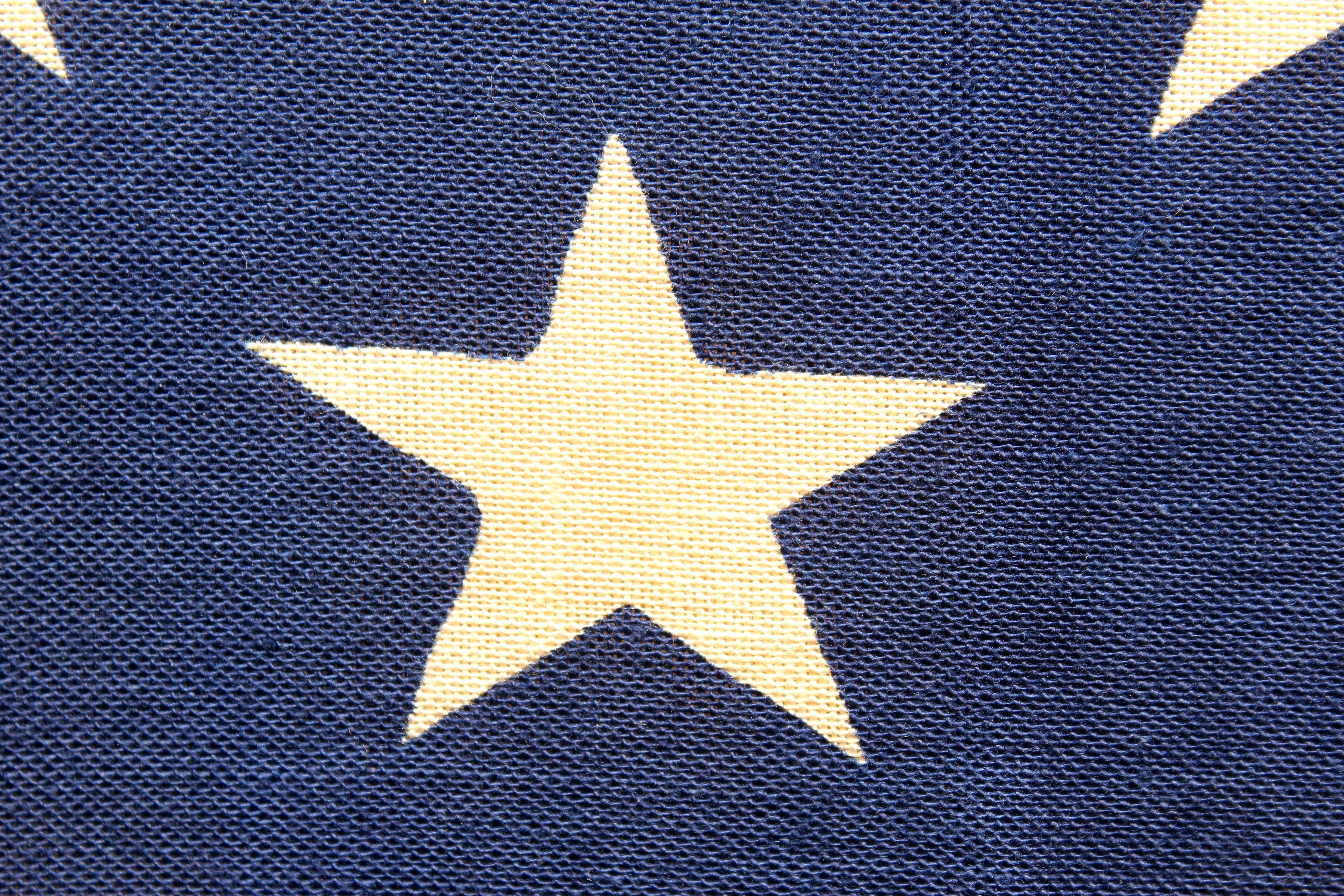 Blue Star Service Flag and Two American Flags