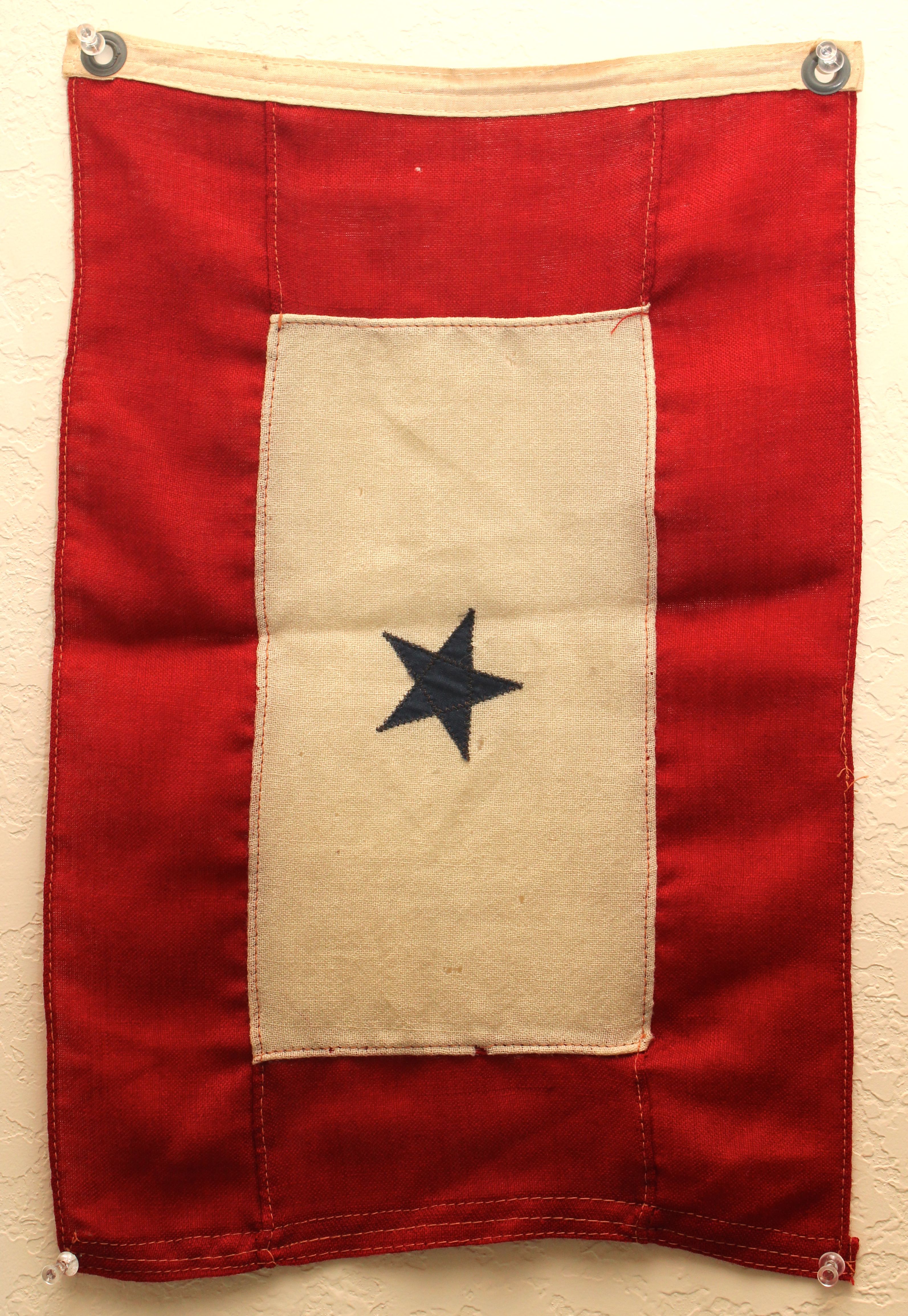 Blue Star Service Flag and Two American Flags