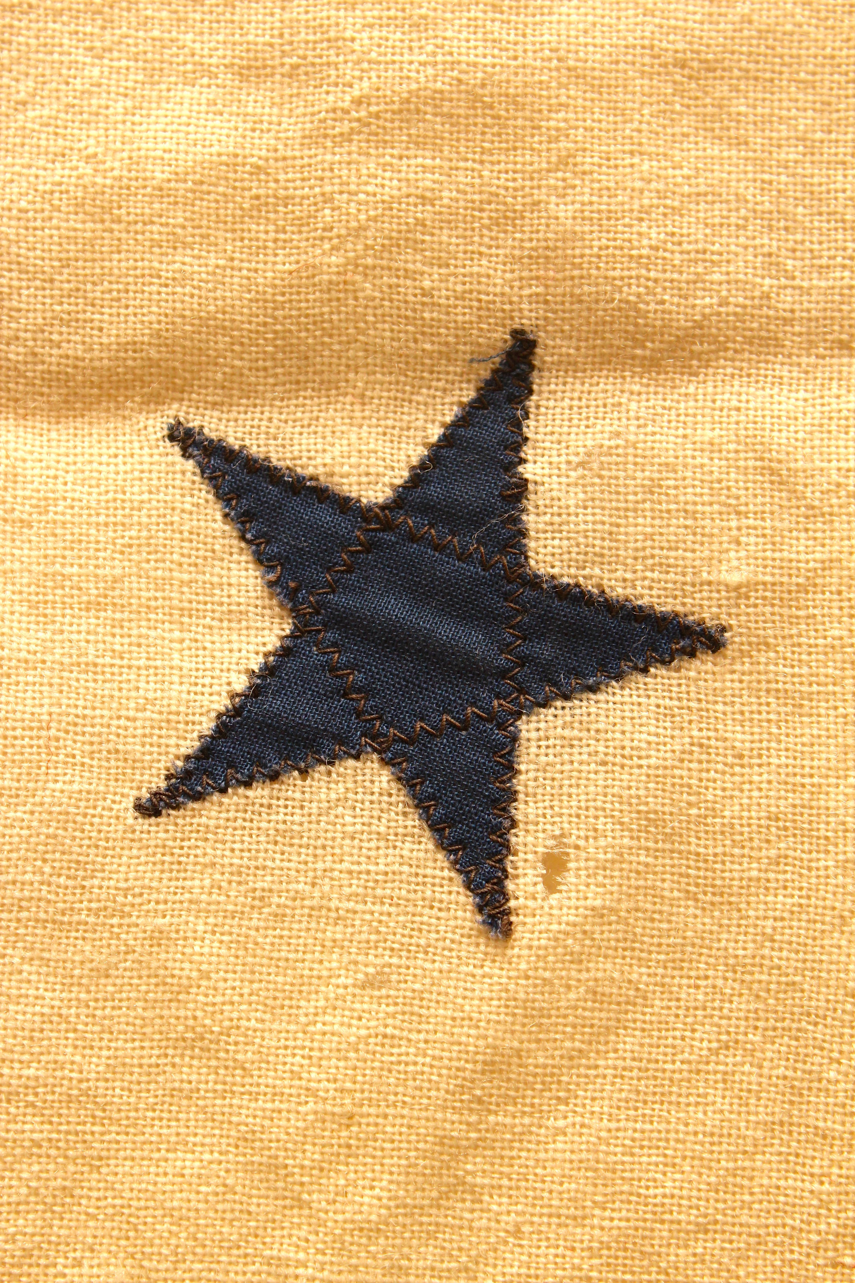 Blue Star Service Flag and Two American Flags