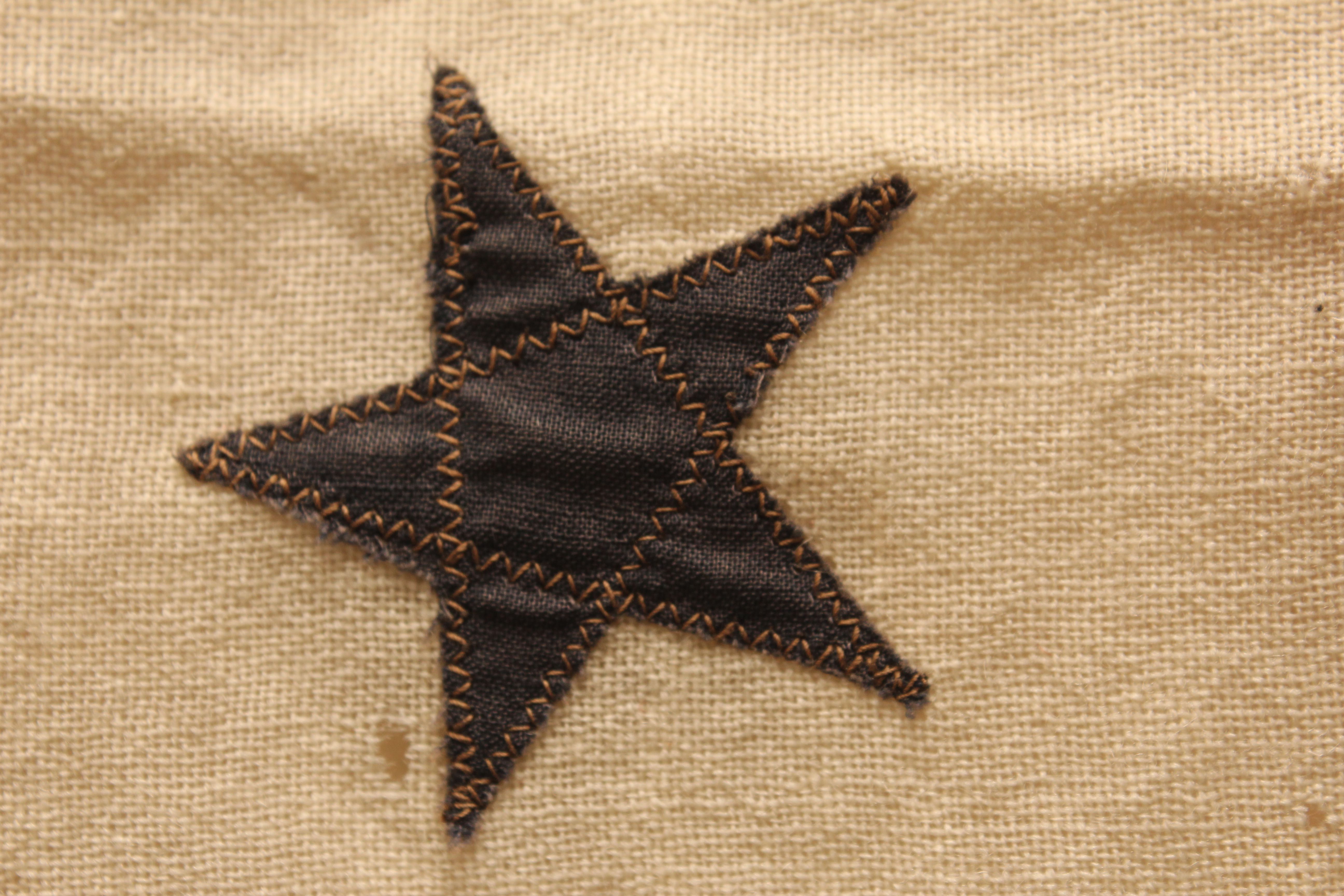 Blue Star Service Flag and Two American Flags