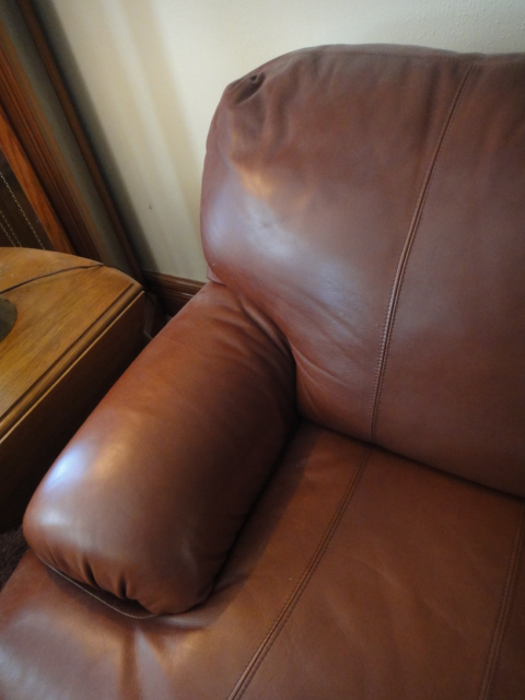 Viewpoint Leather Works Sofa