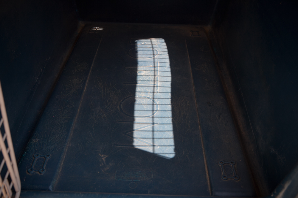 Furrari Giant 550 Dog Crate Everything But The House