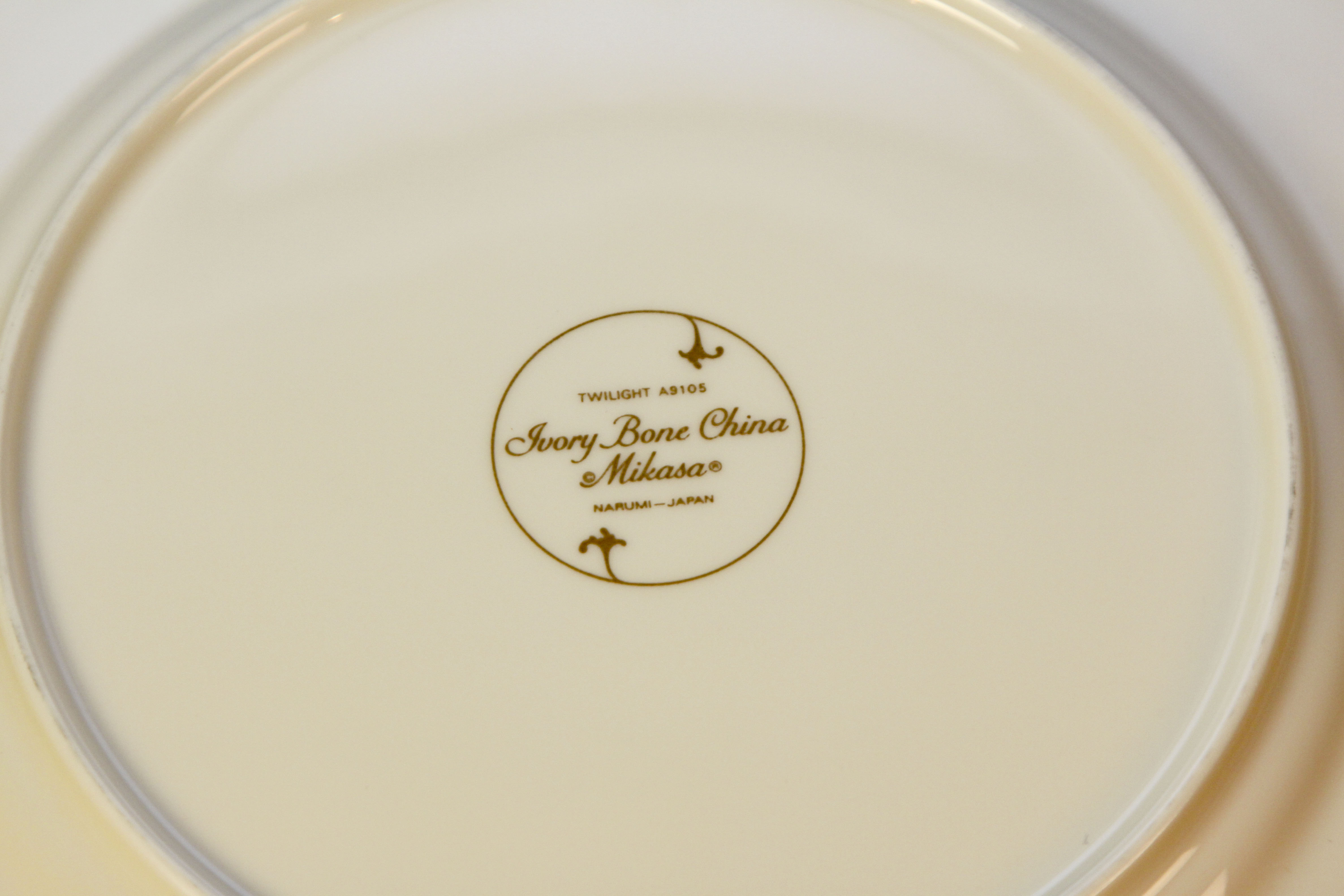 Mikasa Ivory Bone China with Serving Pieces