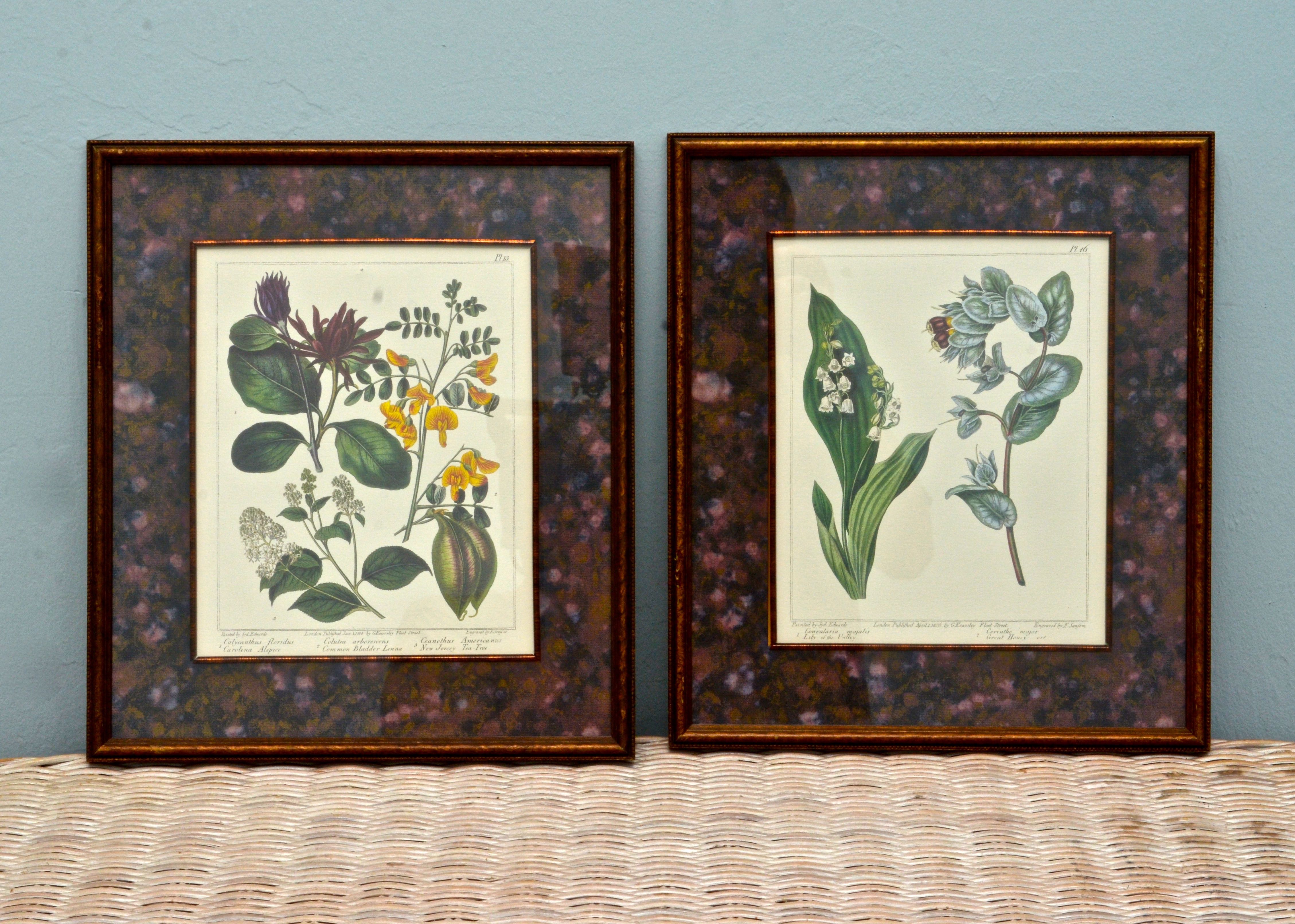 Pair of Botanical Prints