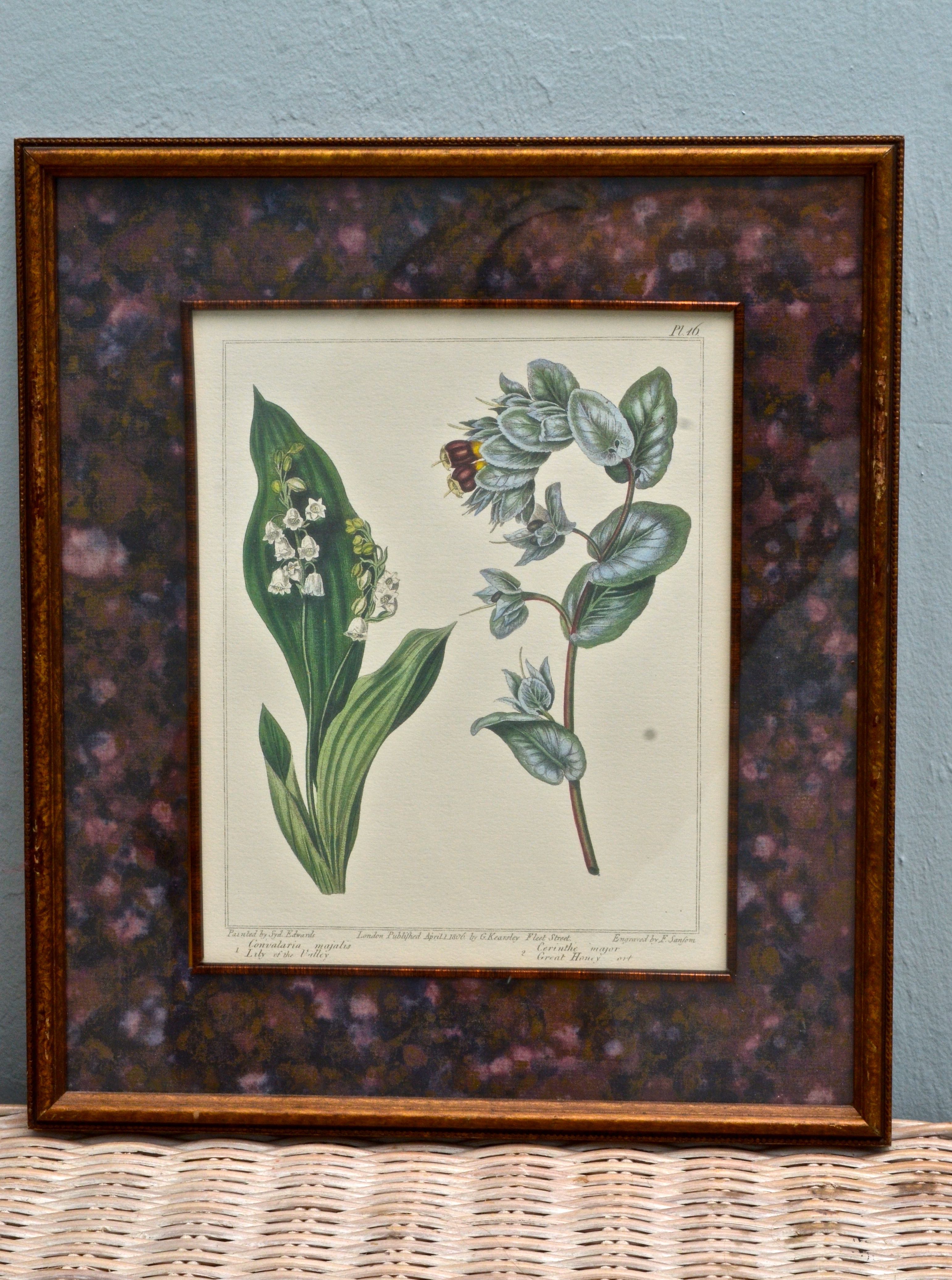 Pair of Botanical Prints