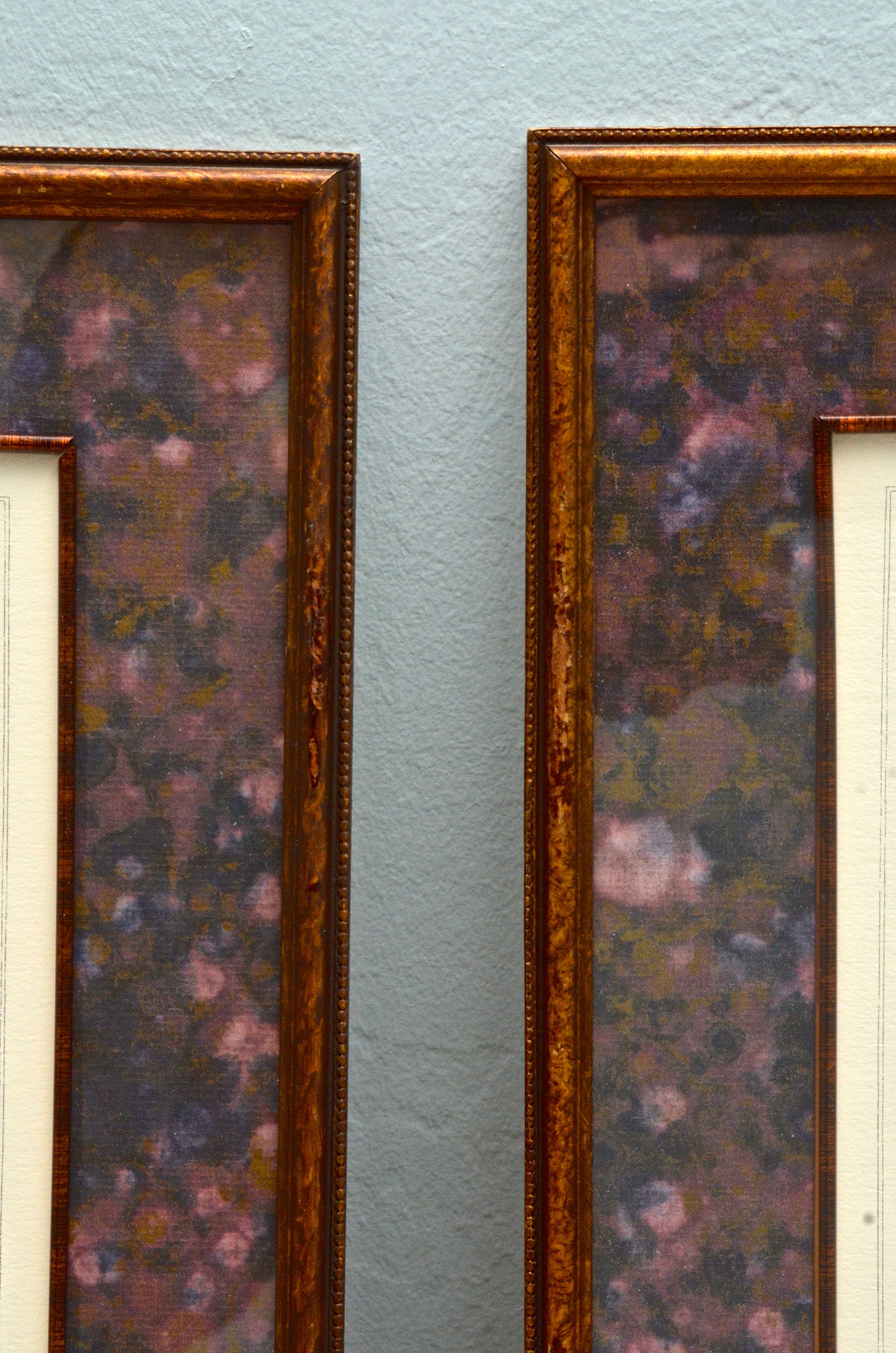 Pair of Botanical Prints