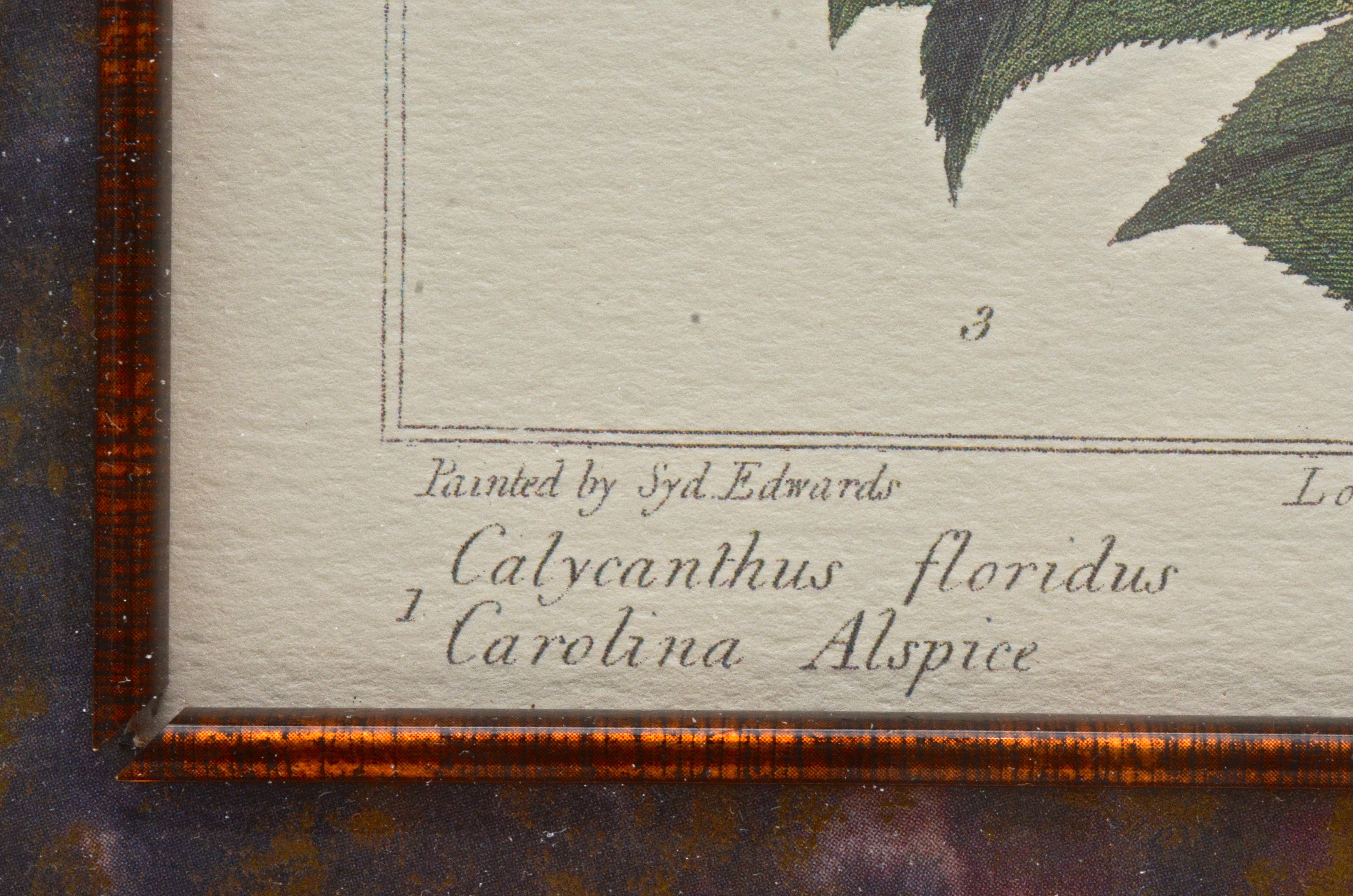 Pair of Botanical Prints