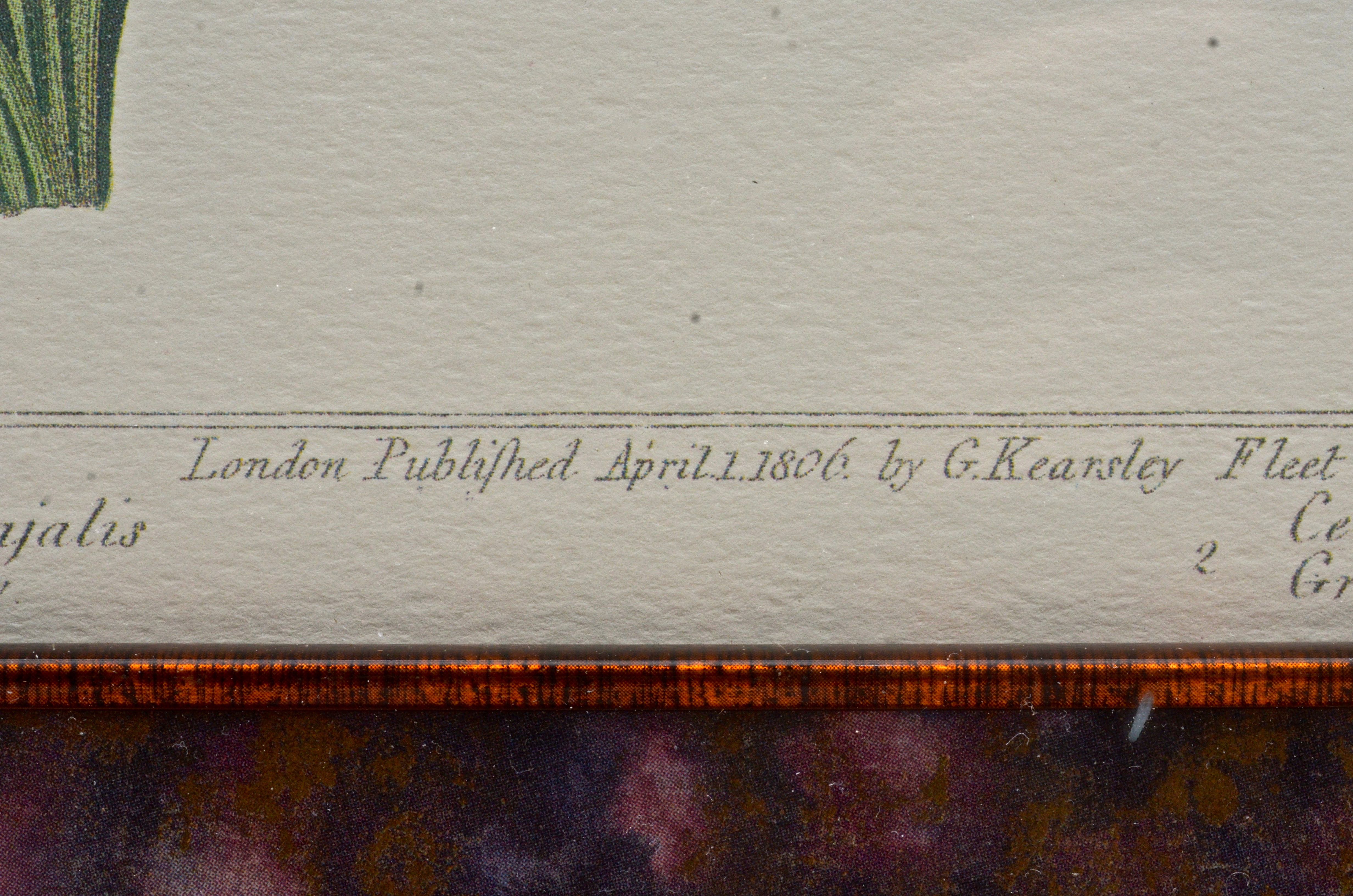 Pair of Botanical Prints