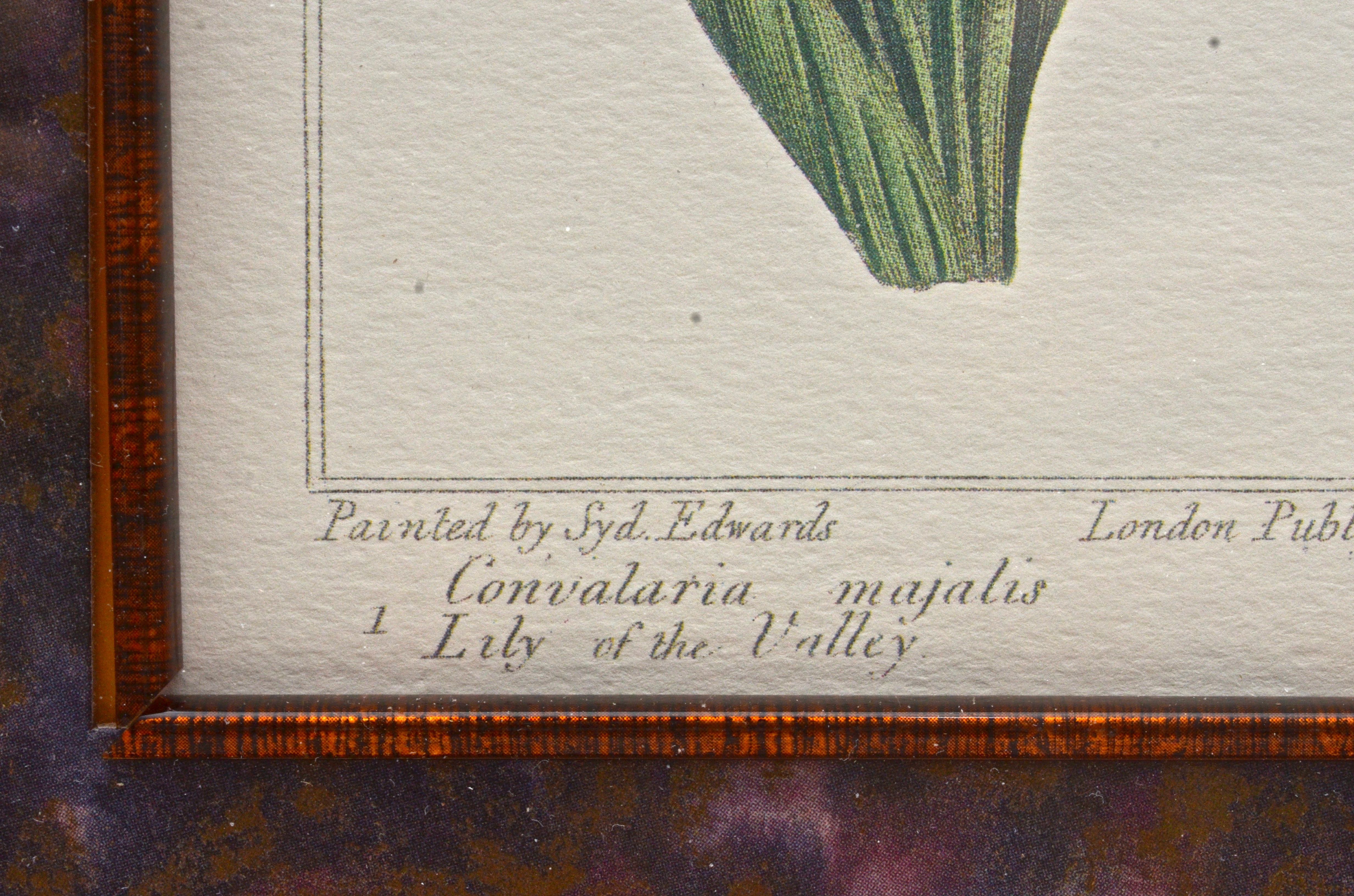 Pair of Botanical Prints