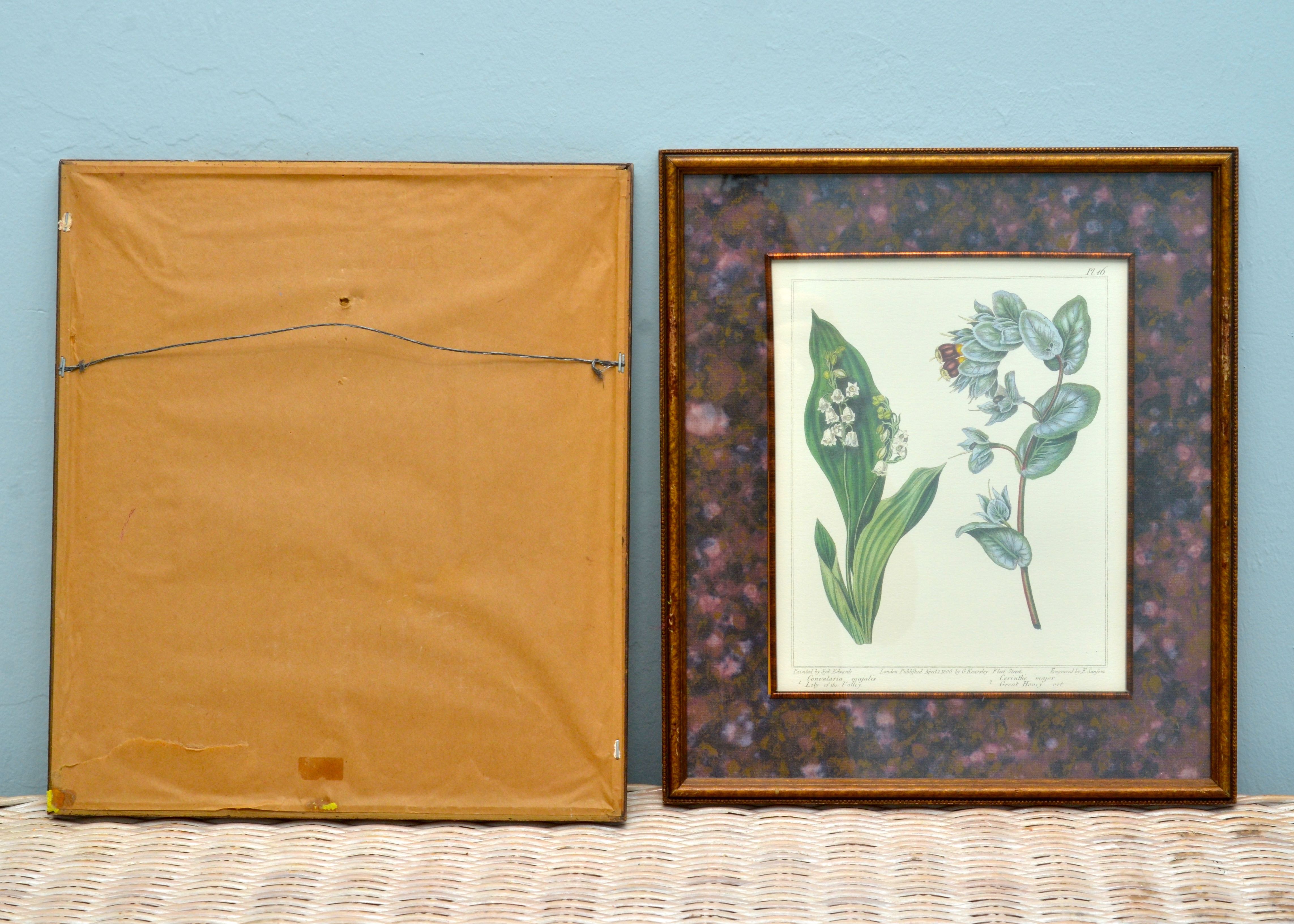 Pair of Botanical Prints