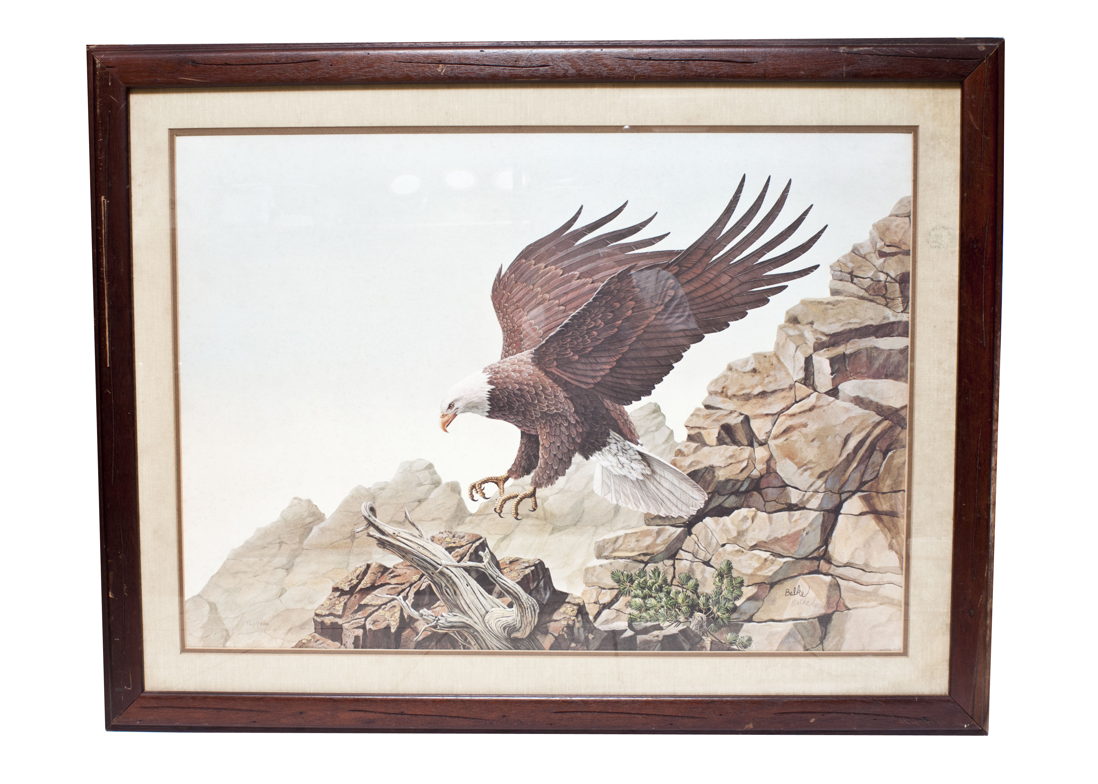Eagle Print by Don Balke
