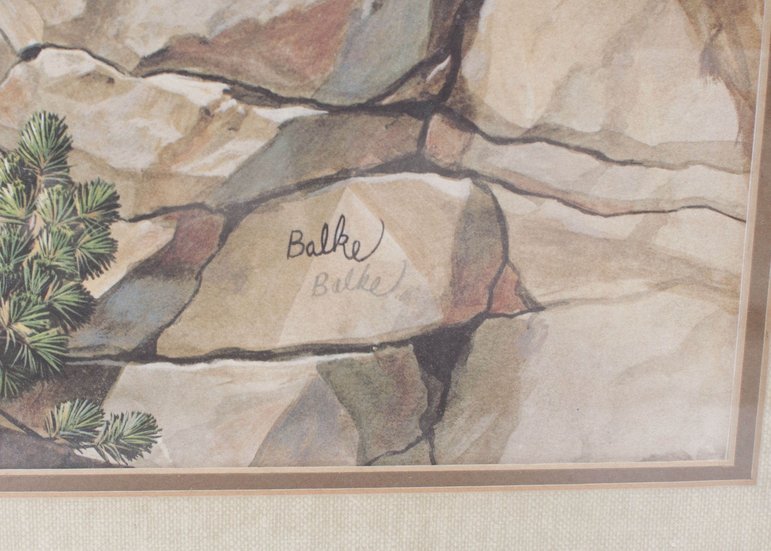 Eagle Print by Don Balke