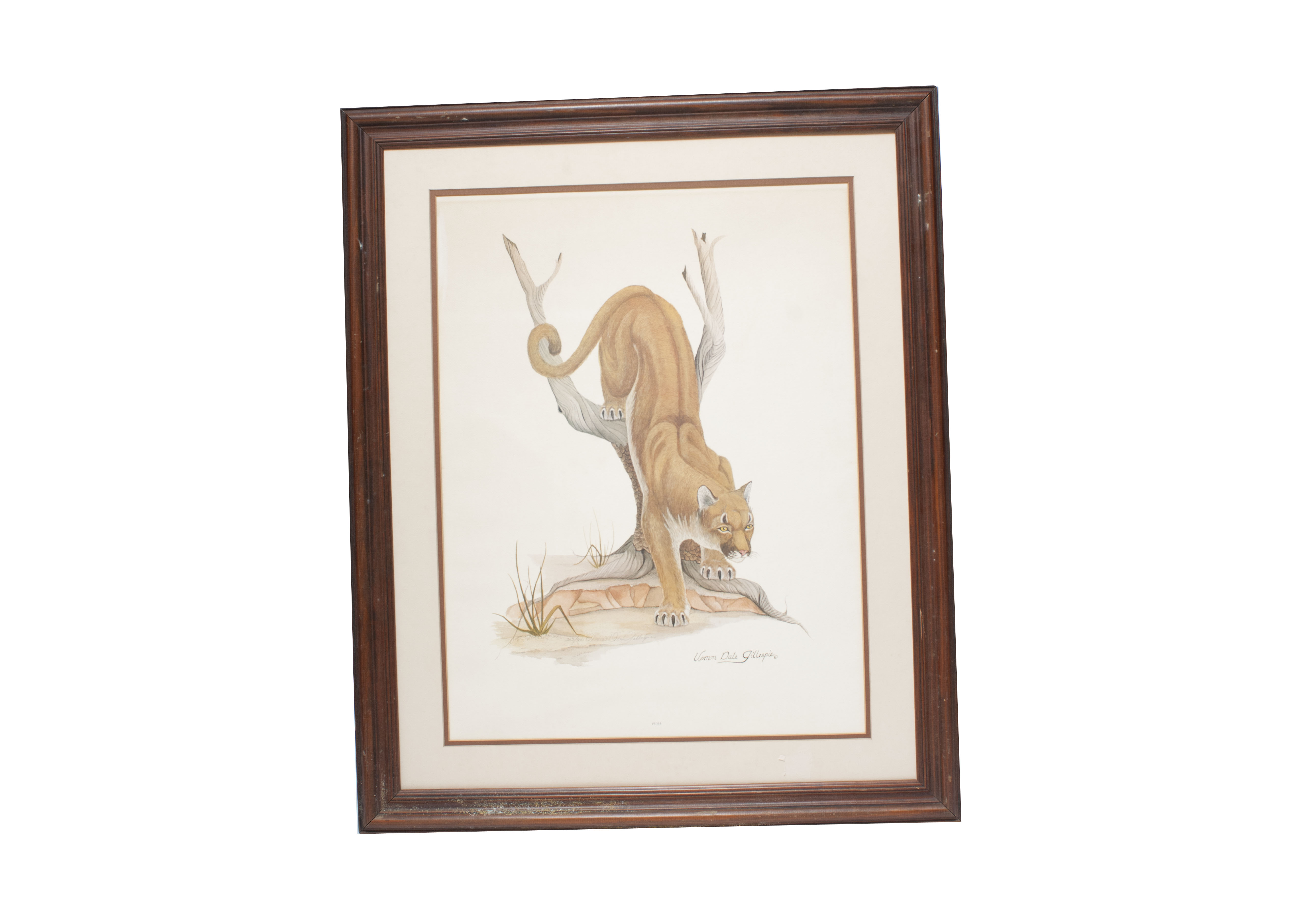 Puma Lithograph