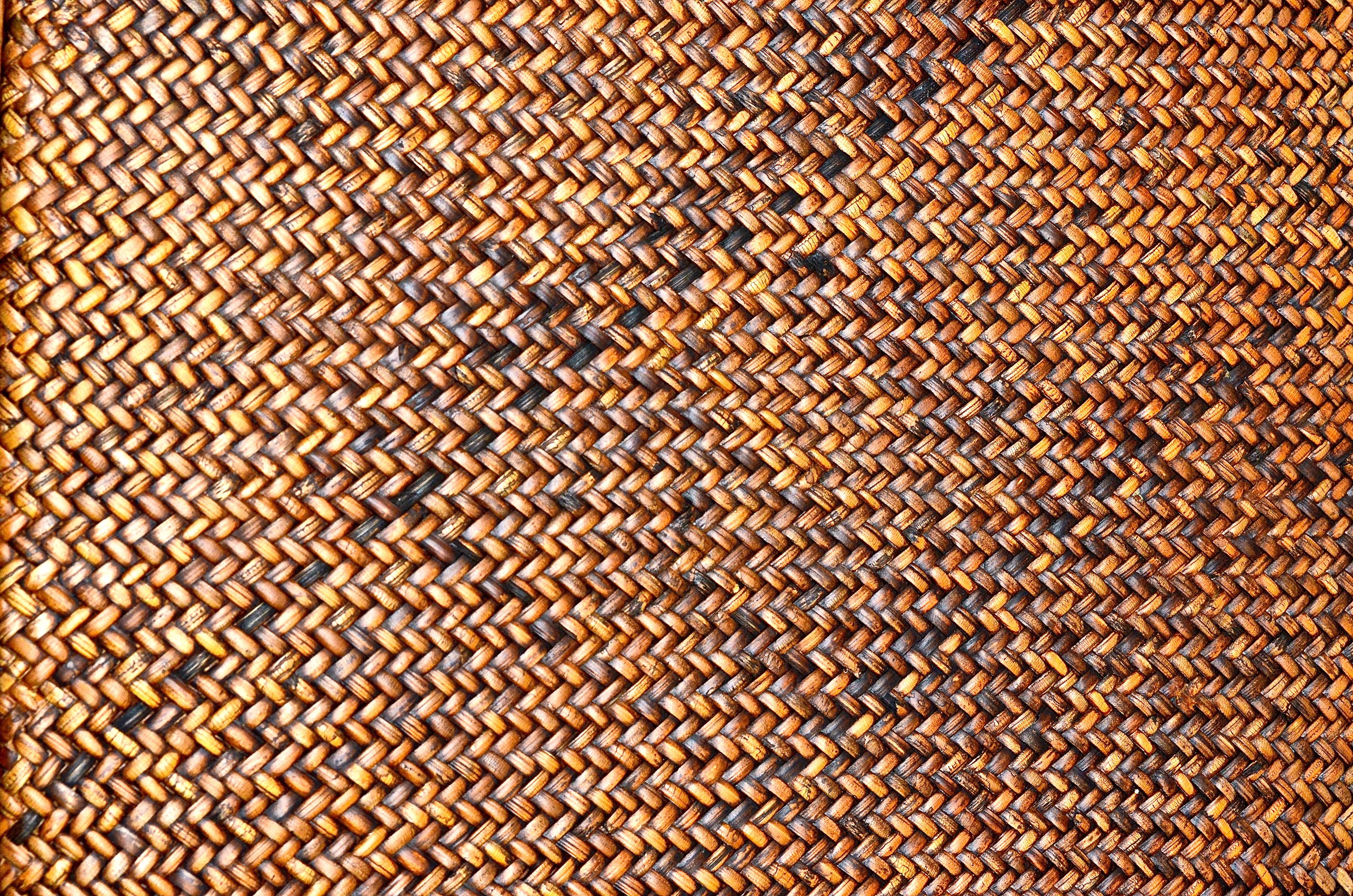 Rift Cut White Oak Bentwood Chair