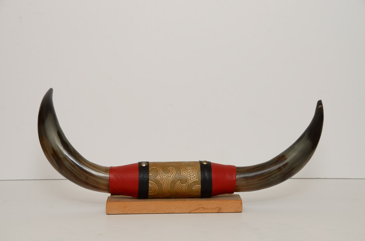 Mounted Tibetan Yak Horns