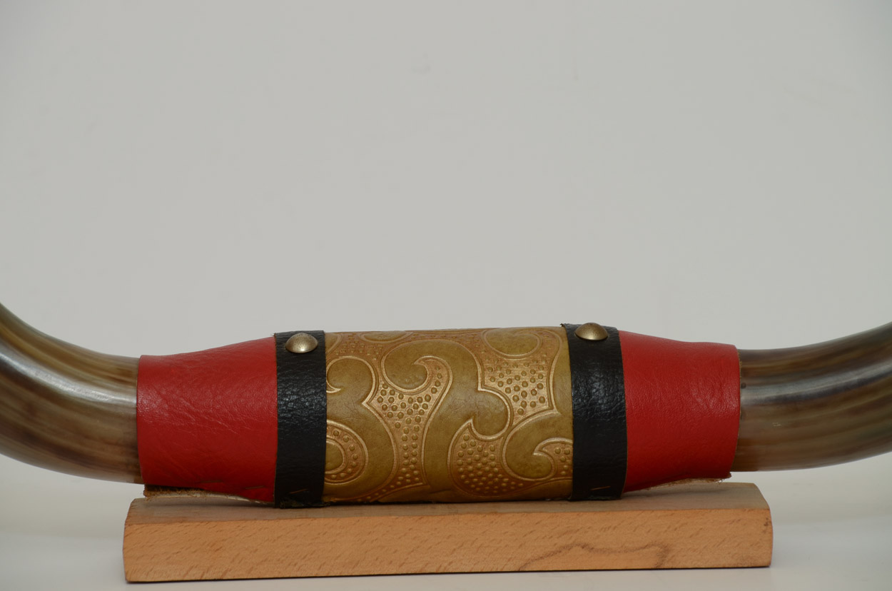 Mounted Tibetan Yak Horns