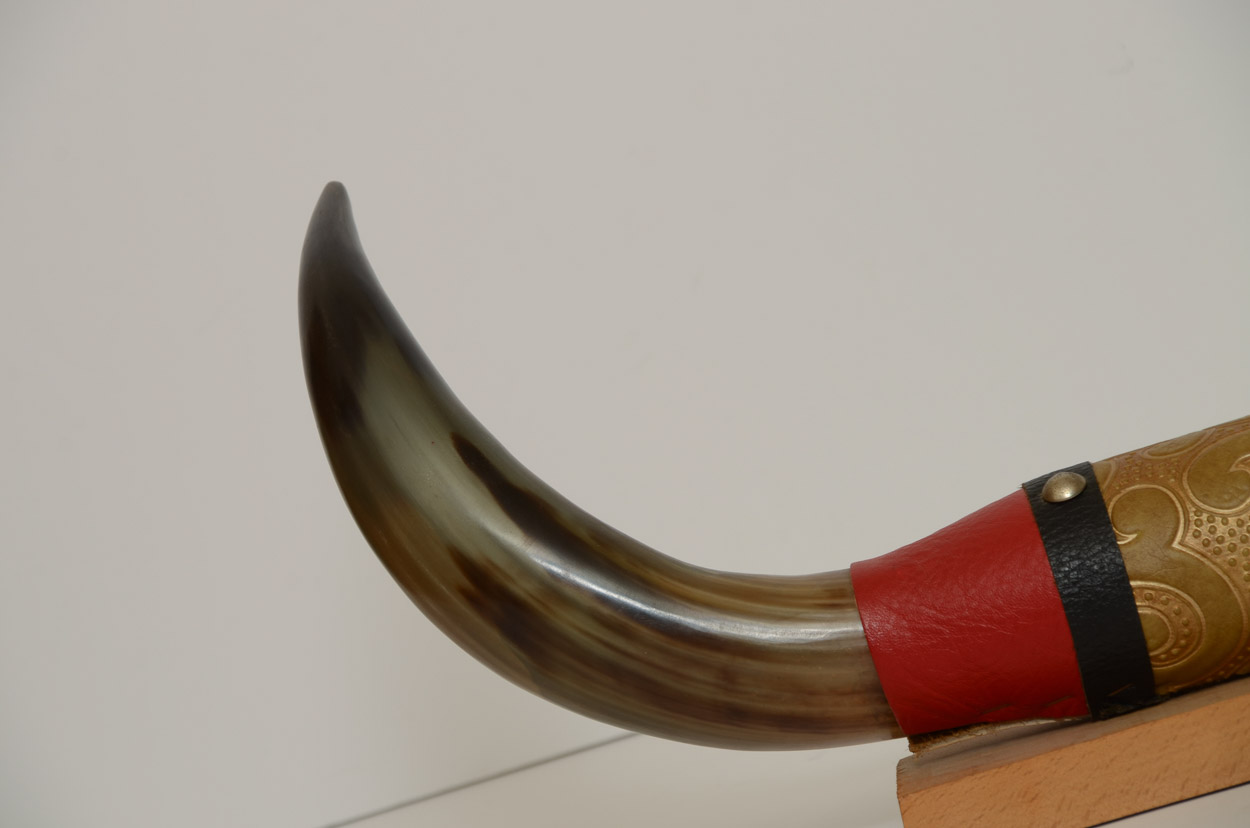 Mounted Tibetan Yak Horns