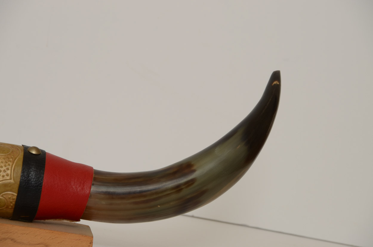 Mounted Tibetan Yak Horns