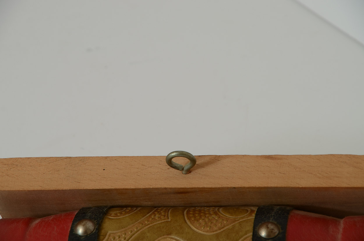 Mounted Tibetan Yak Horns