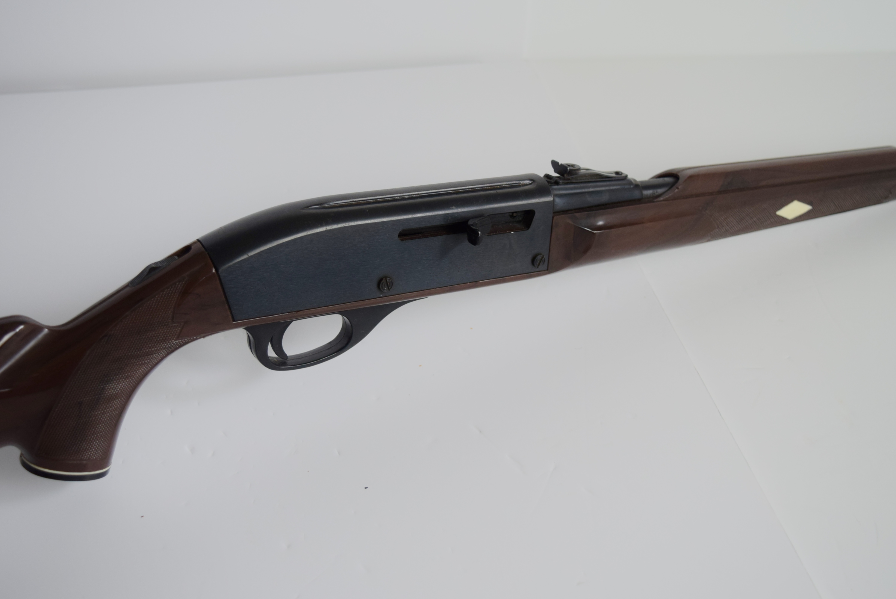 Remington Nylon 66 .22 Caliber Rifle