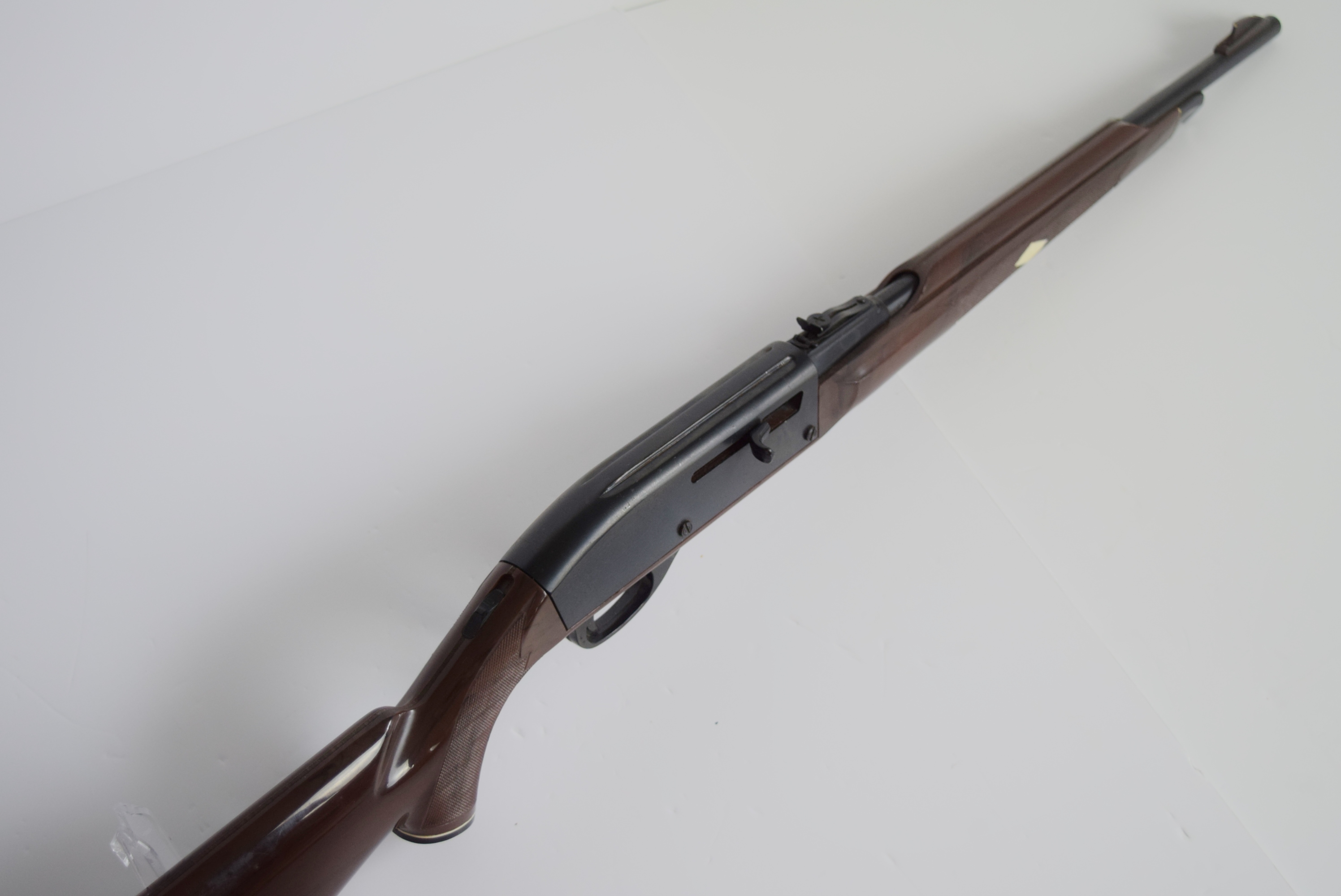 Remington Nylon 66 .22 Caliber Rifle