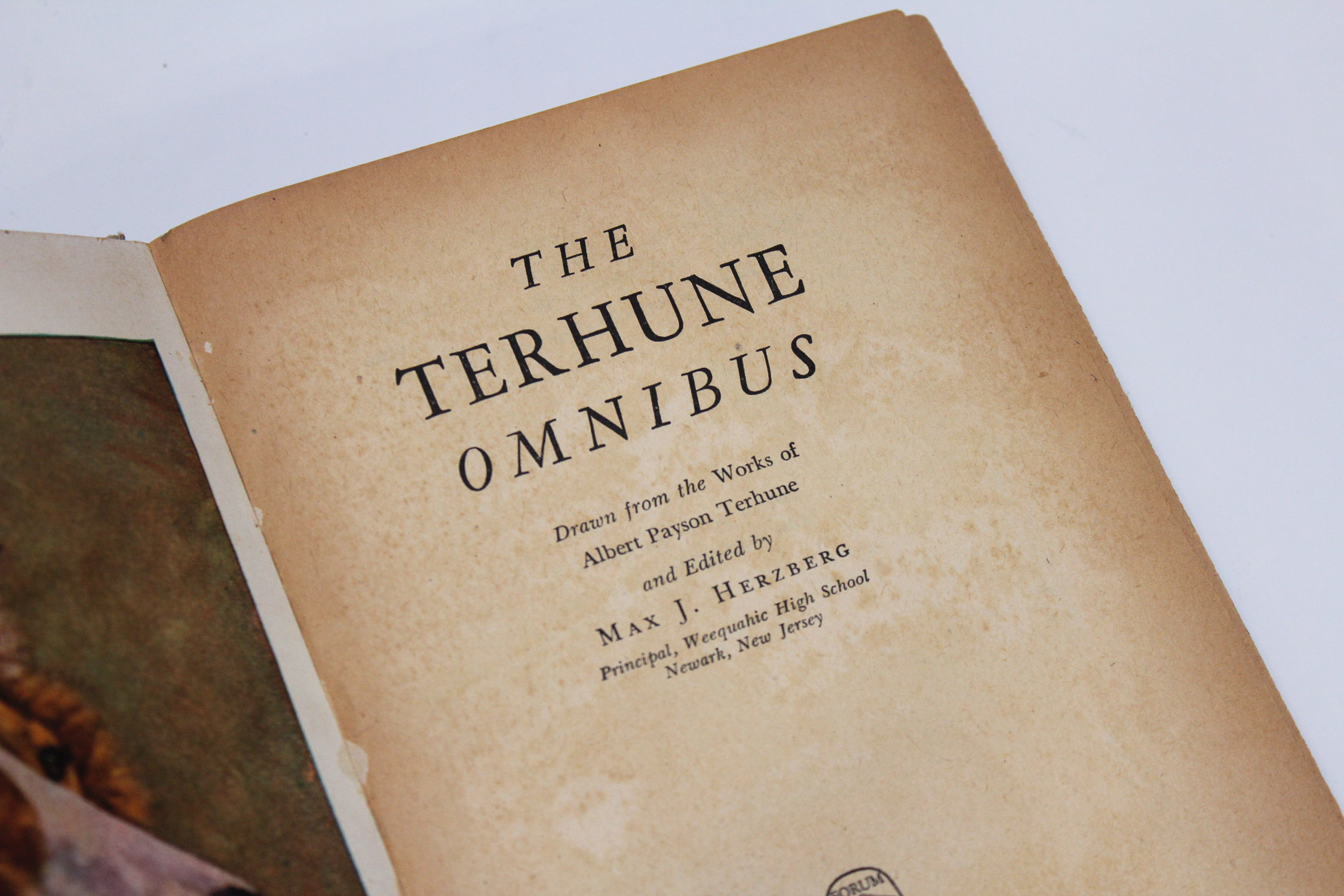 Collection of Vintage Children's Books