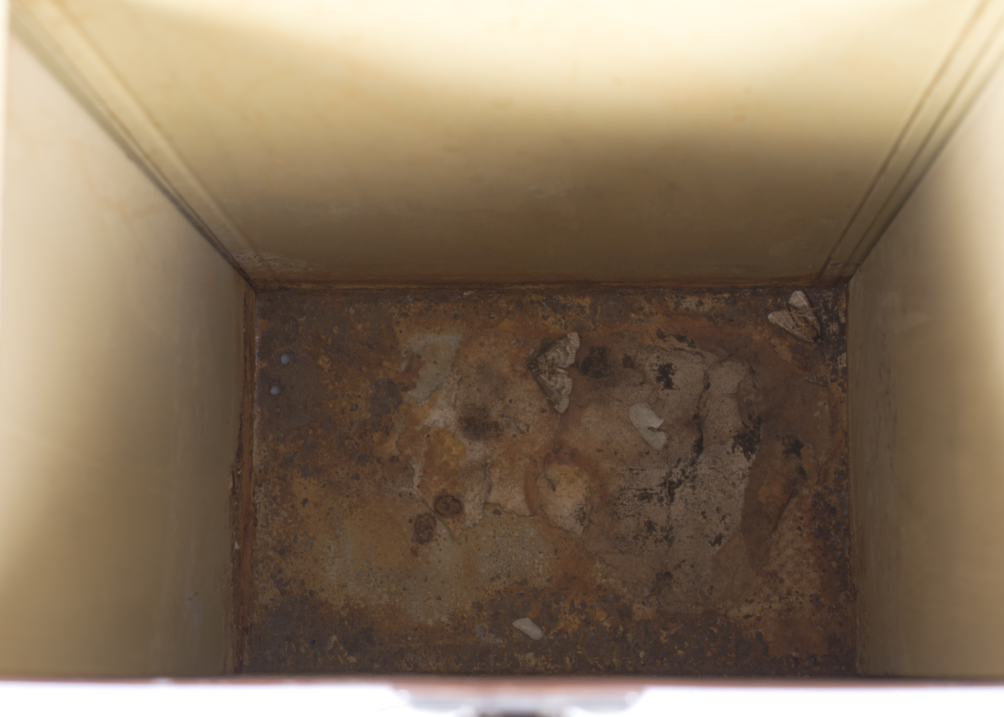 Vintage Sportster Tin Carrier with Tin Basket