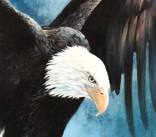 Oil on Canvas Bald Eagle by Doug Lehnhardt