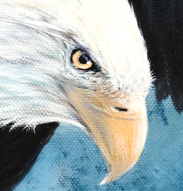 Oil on Canvas Bald Eagle by Doug Lehnhardt