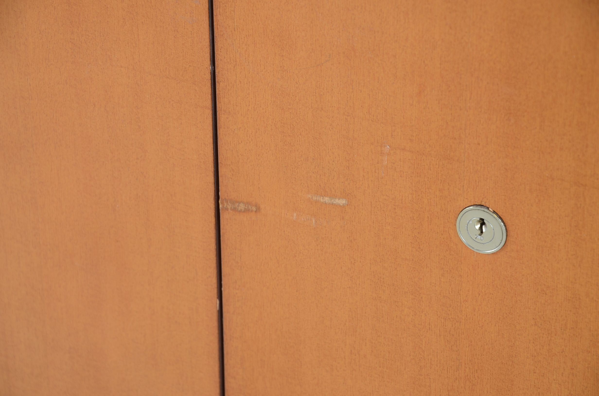 Walnut Veneer Cabinet