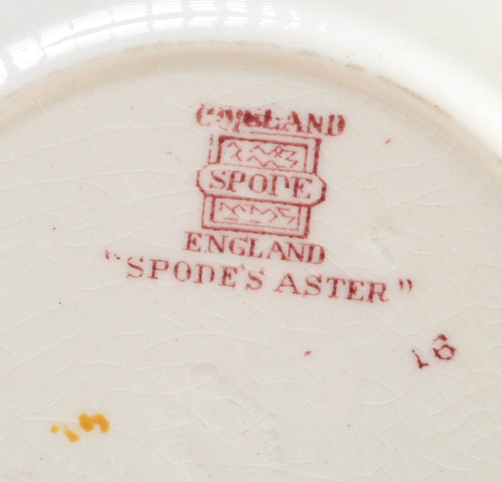 Vintage Spode "Aster" China Setting for Twelve