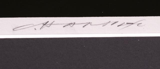 Charley Harper Serigraph