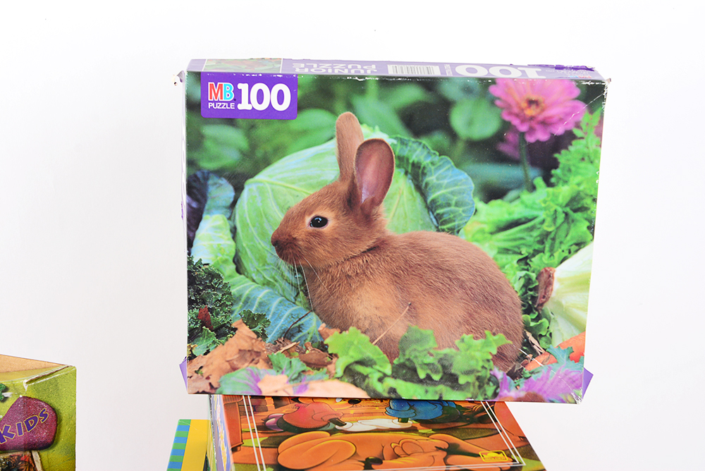 Collection of Puzzles