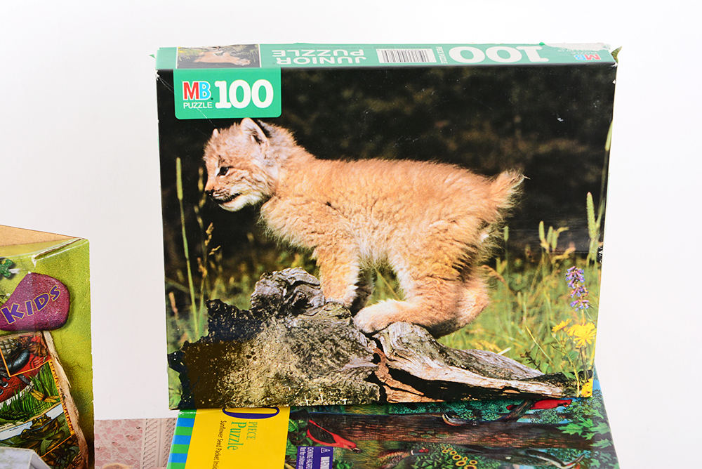 Collection of Puzzles