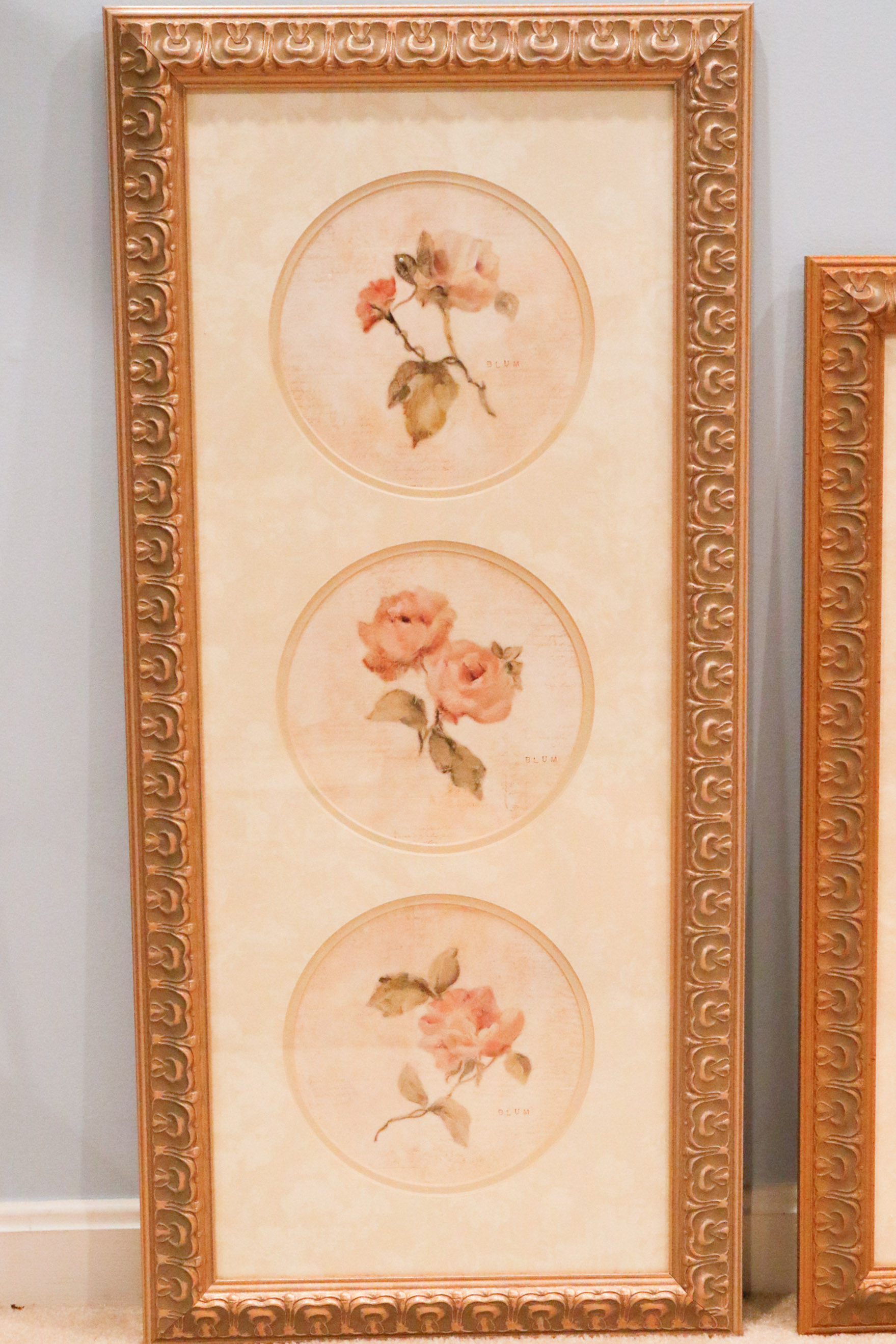 Four Cheri Blum Framed Botanical Prints