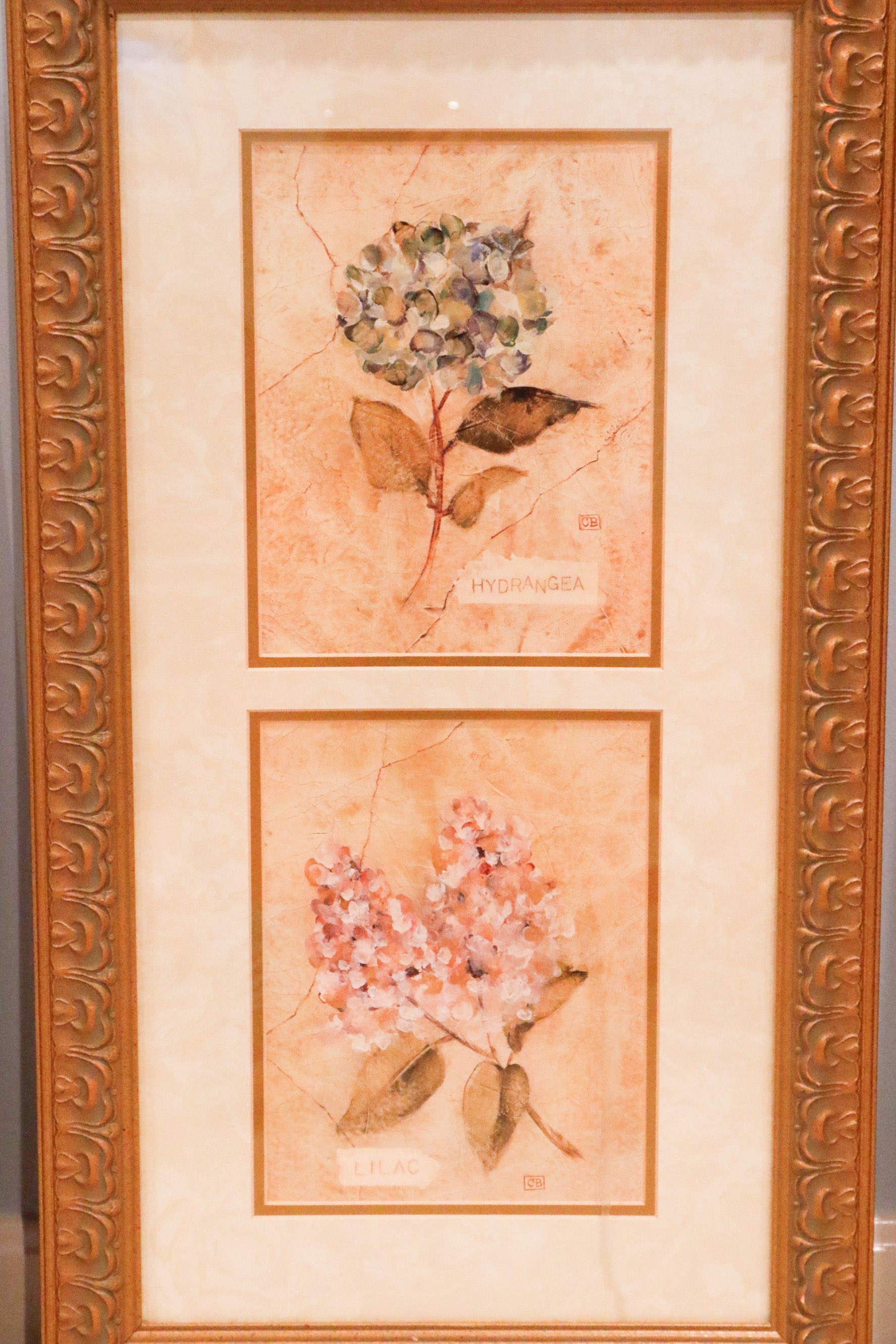 Four Cheri Blum Framed Botanical Prints