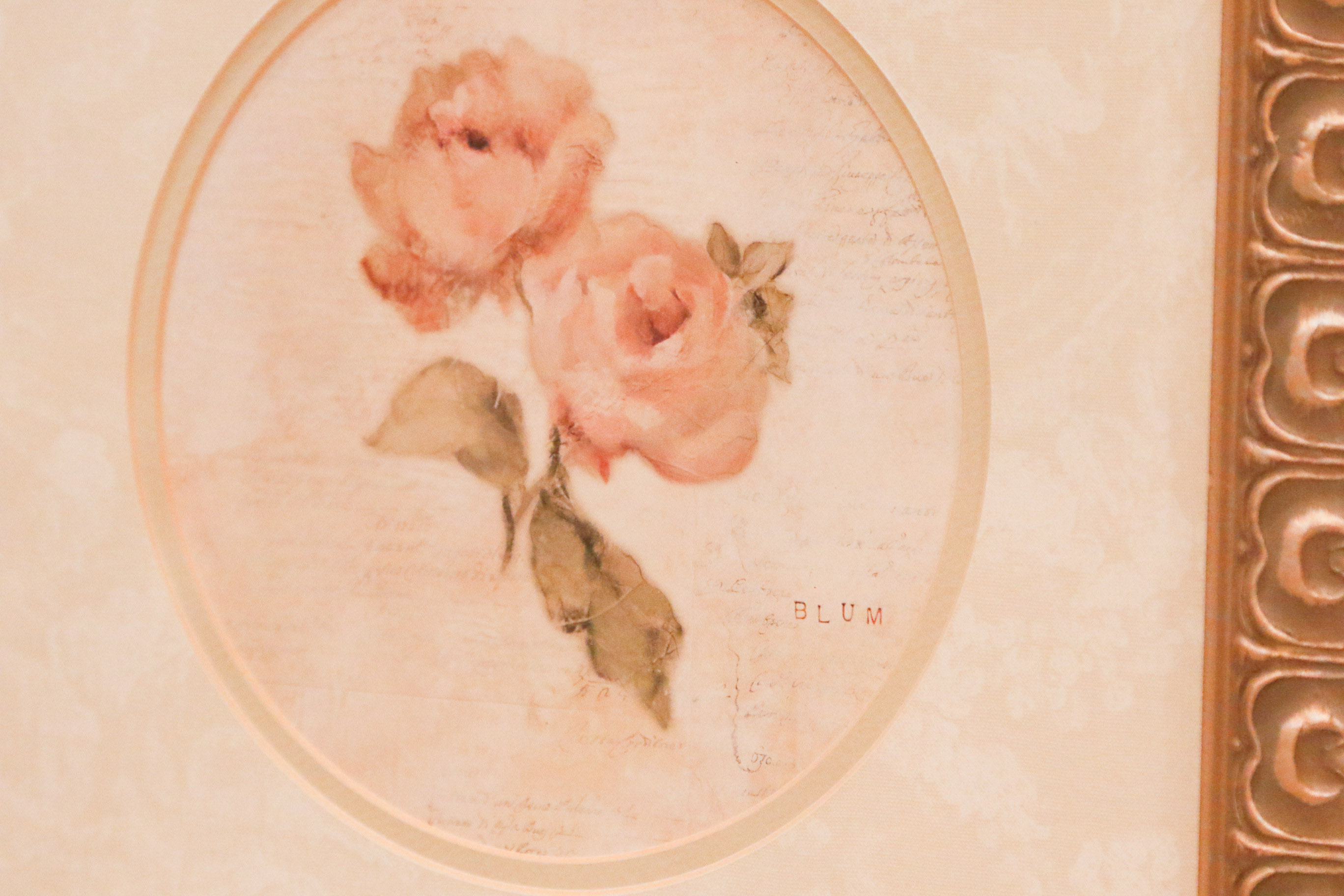 Four Cheri Blum Framed Botanical Prints