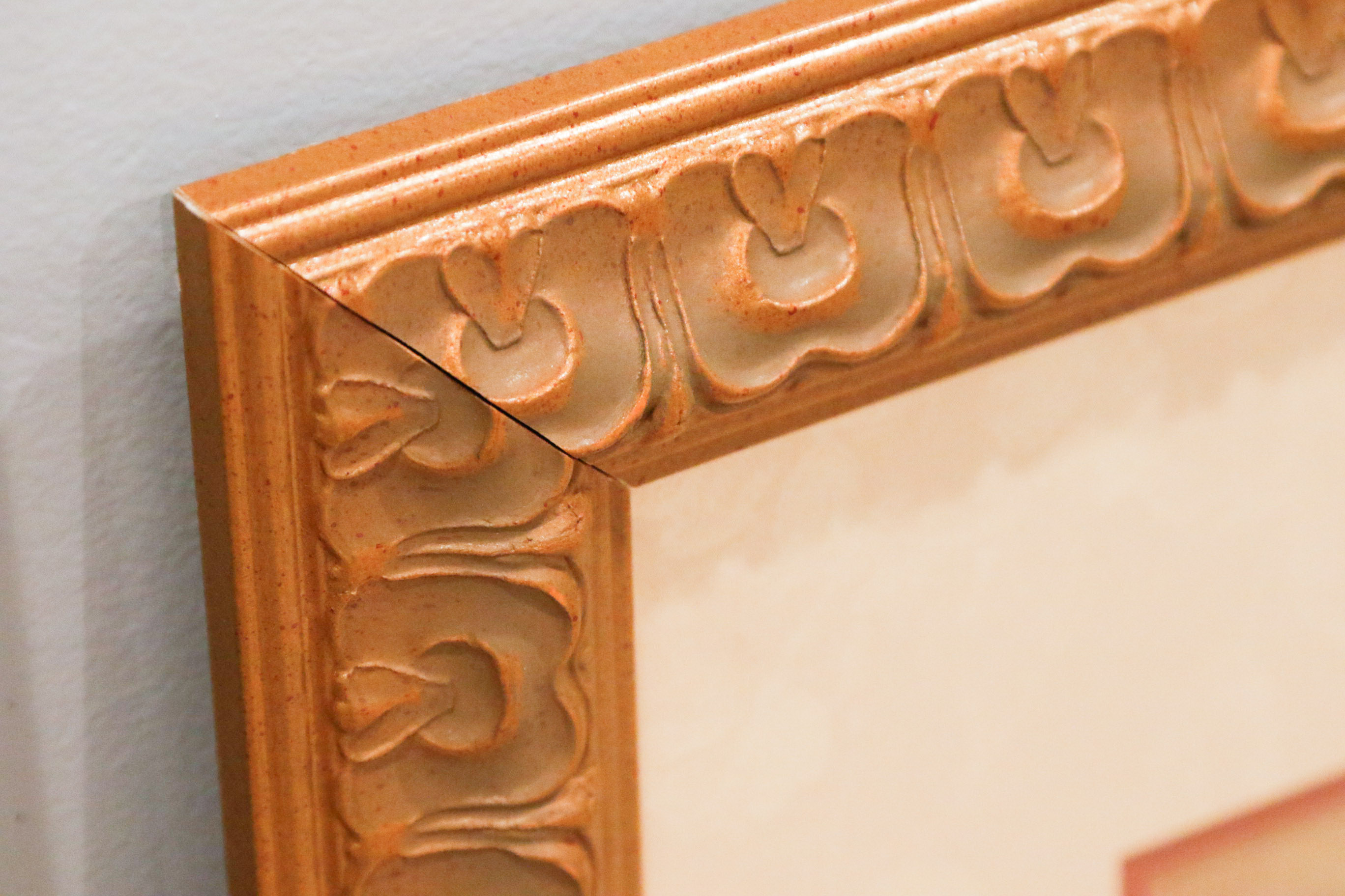 Four Cheri Blum Framed Botanical Prints