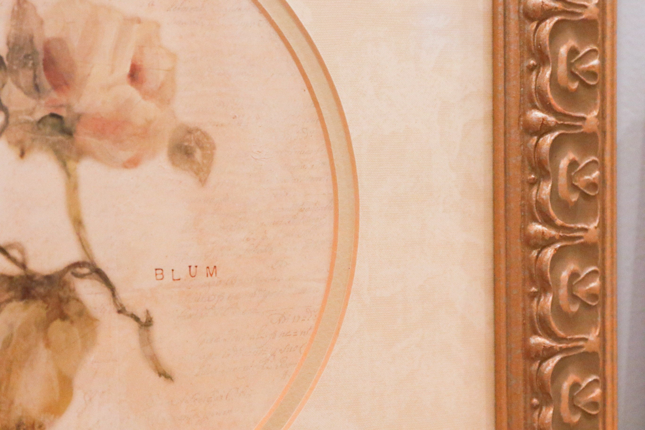 Four Cheri Blum Framed Botanical Prints