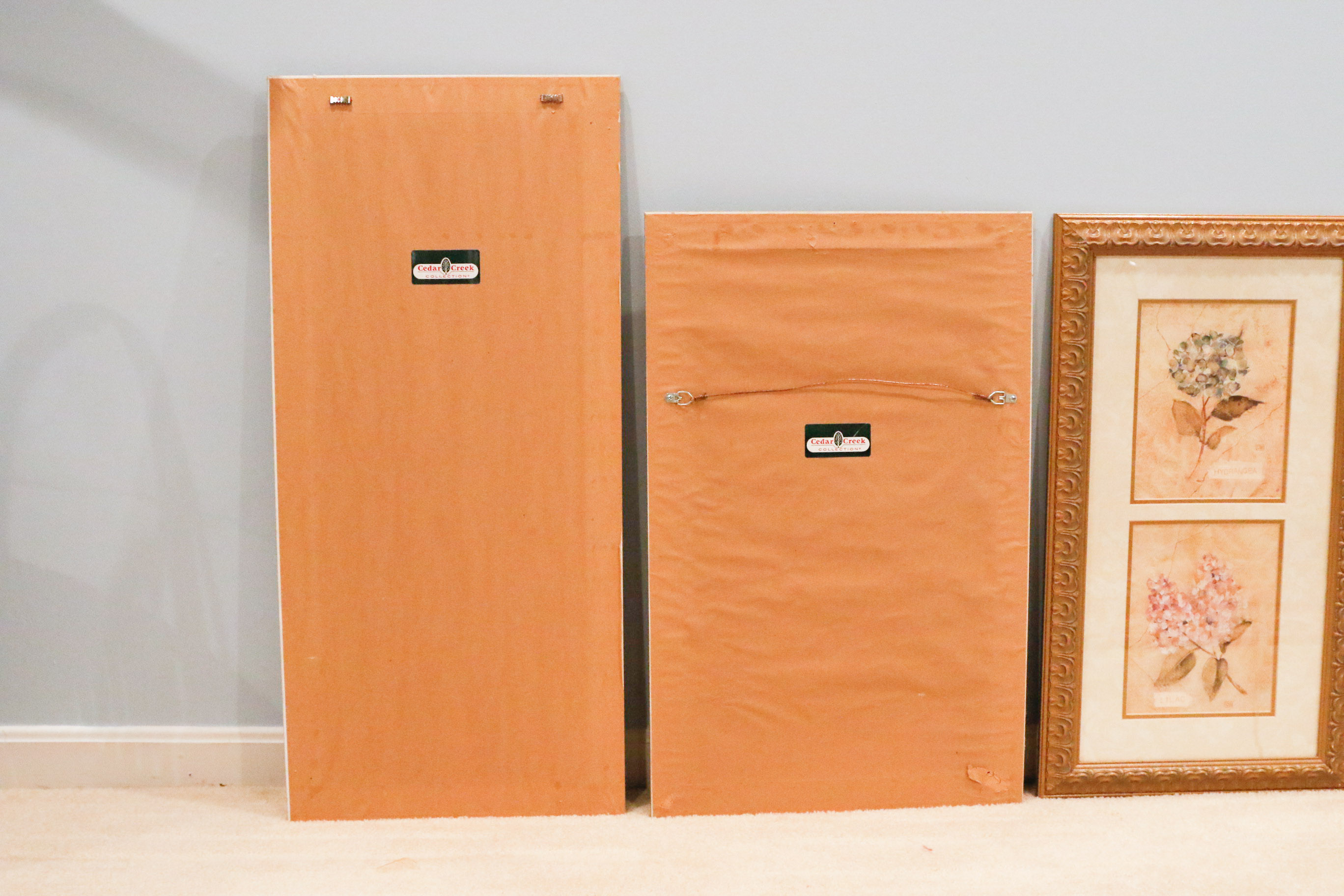 Four Cheri Blum Framed Botanical Prints