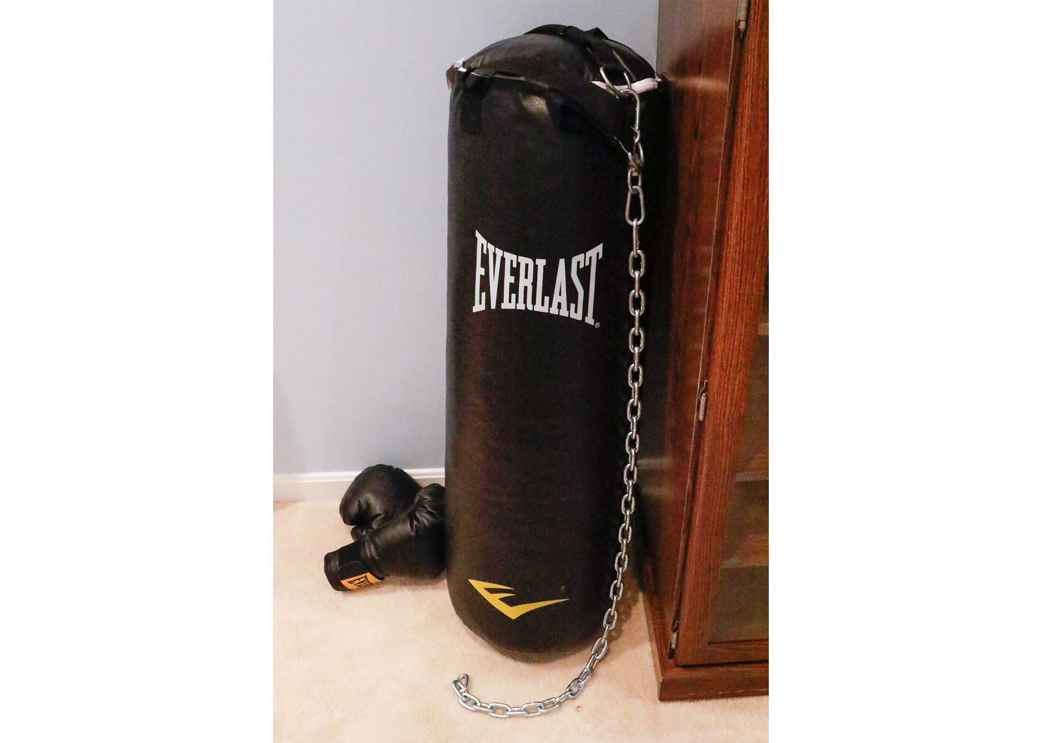 Everlast Nevatear 100 LB. Heavy Bag and Gloves